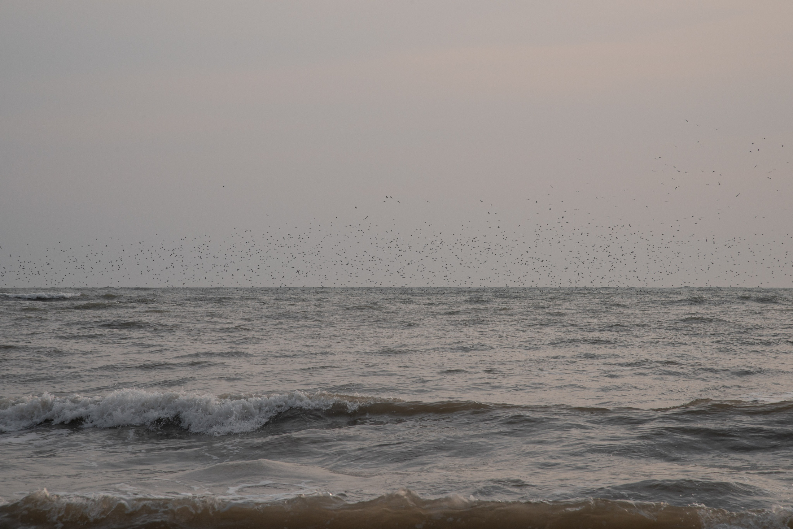 Бухта Инал. Портретный и семейный фотограф в Геленджике Таня Ходова