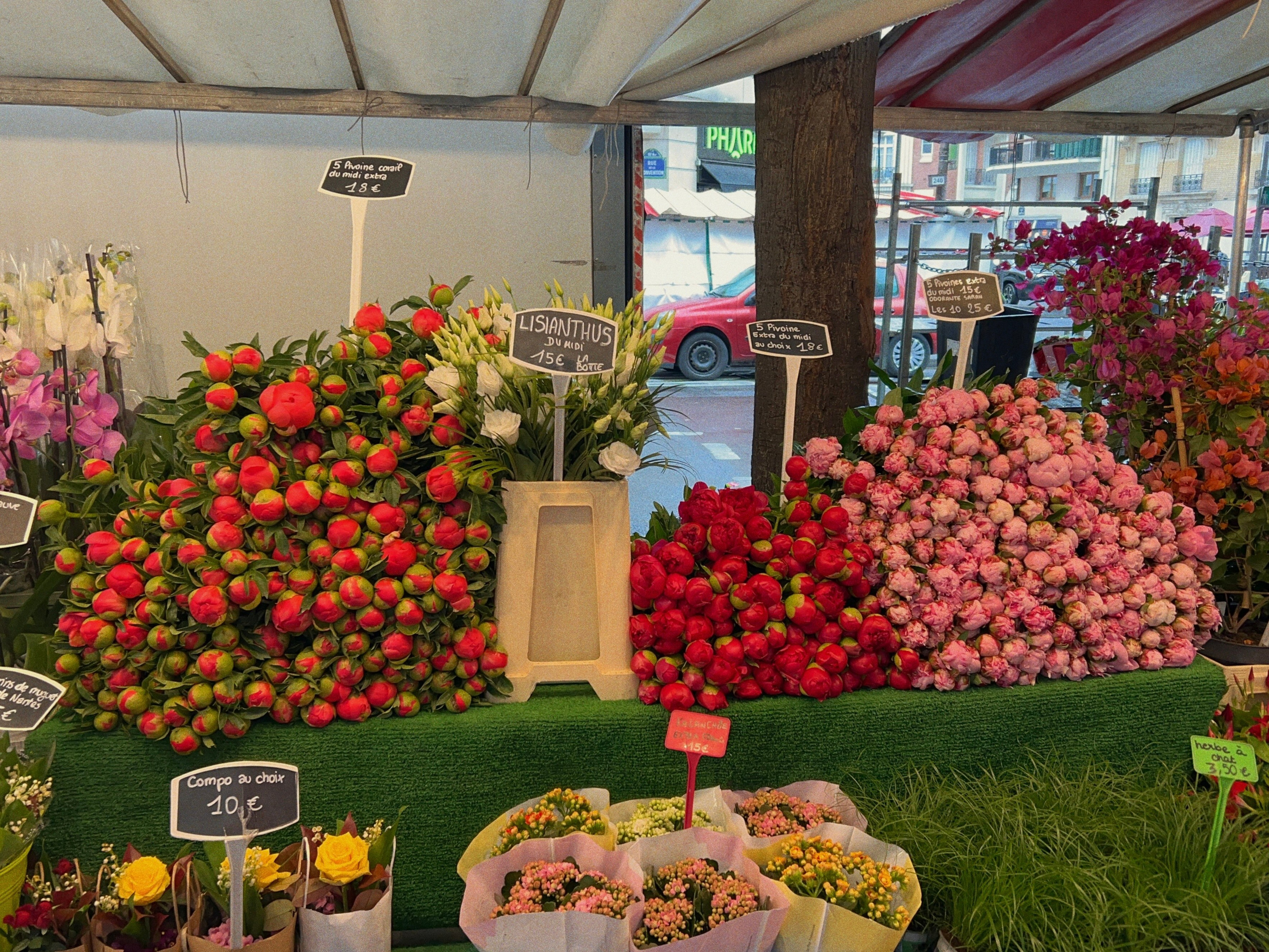 Мои путешествия. Rose Korenevskaya|Ваш нежный фотограф