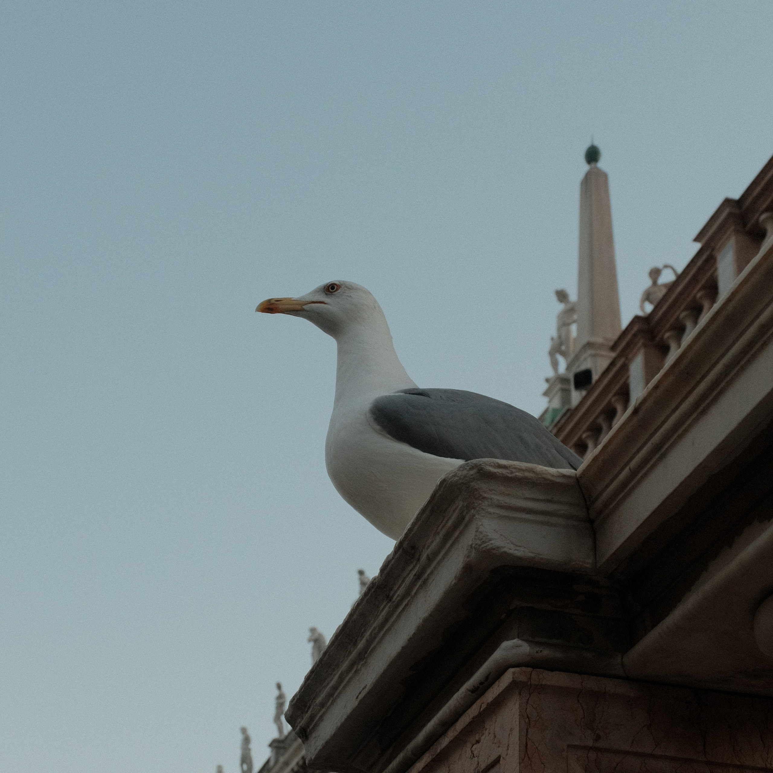 Venice. Creative travel photographer — Berg Daria
