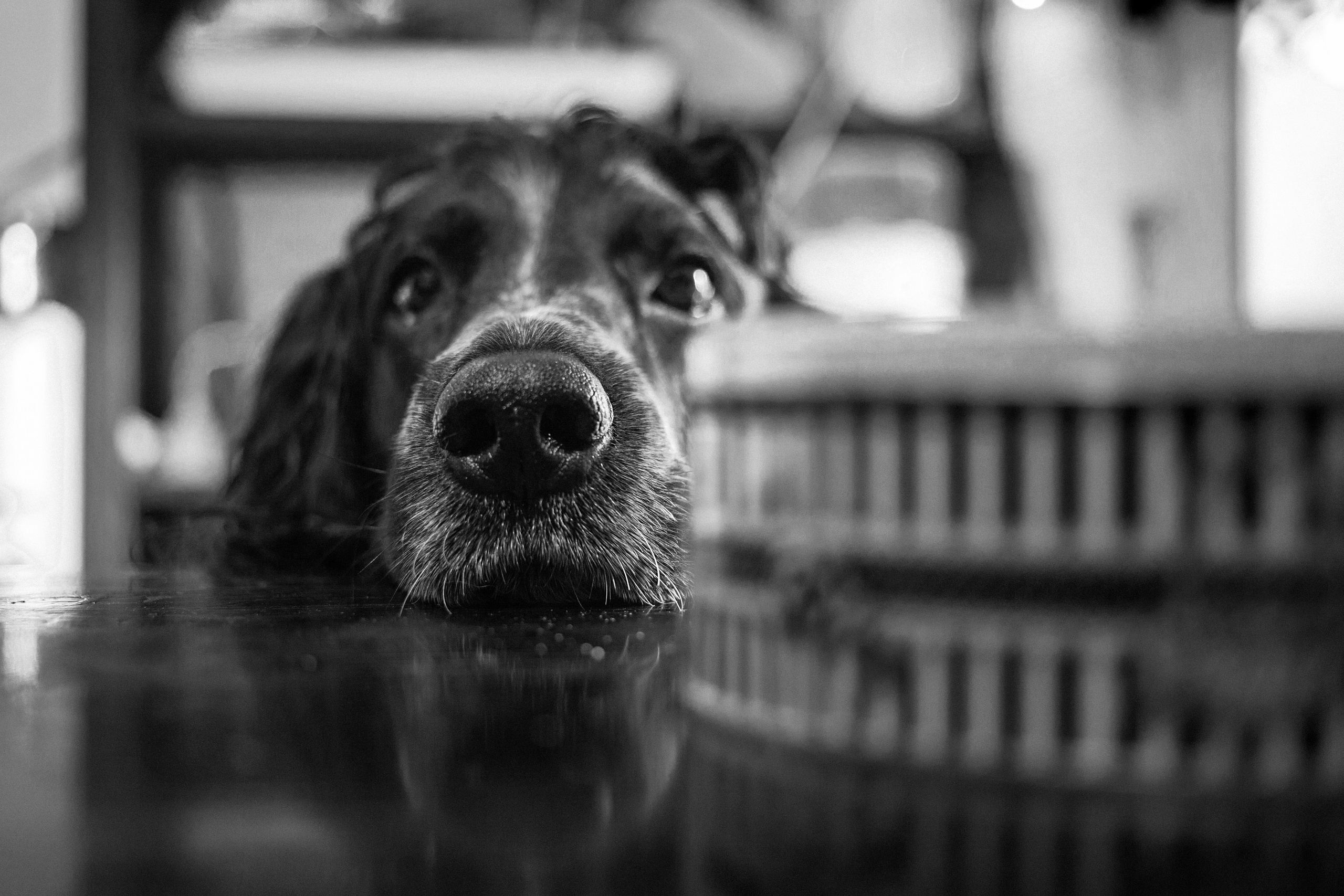 Улицы Люди на улицах Природа Животные — фотограф Оля Волчкова