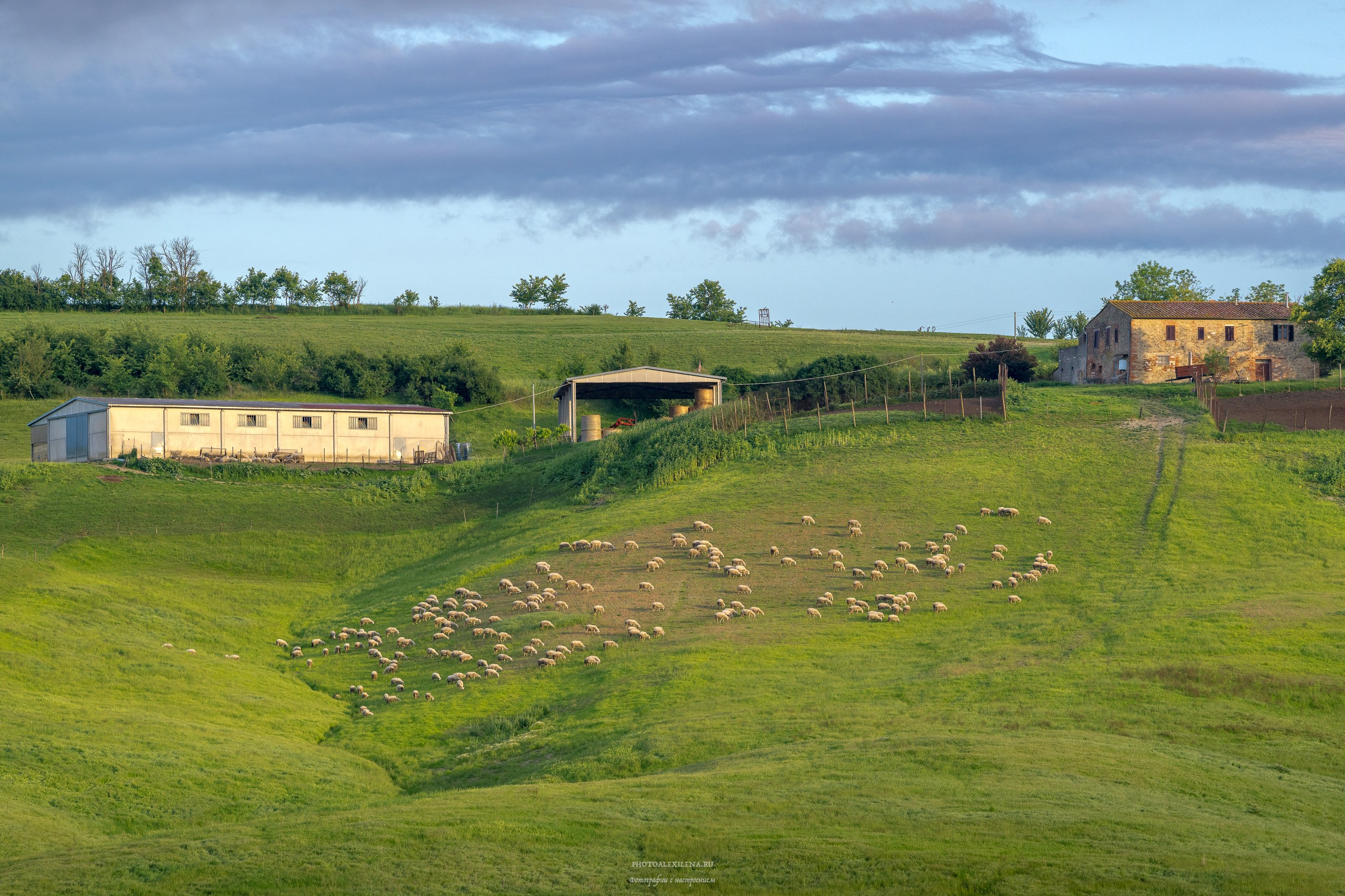 Долина Крете Сенези (Crete Senesi). Авторские стильные фотокартины