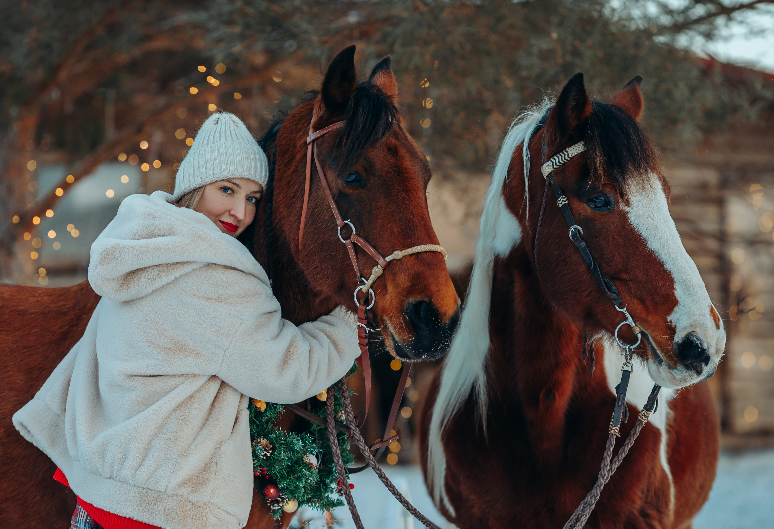Тариф новогодний 2024. Анна Молчанова конный фотограф в Тюмени | фотосессии с лошадьми Тюмень