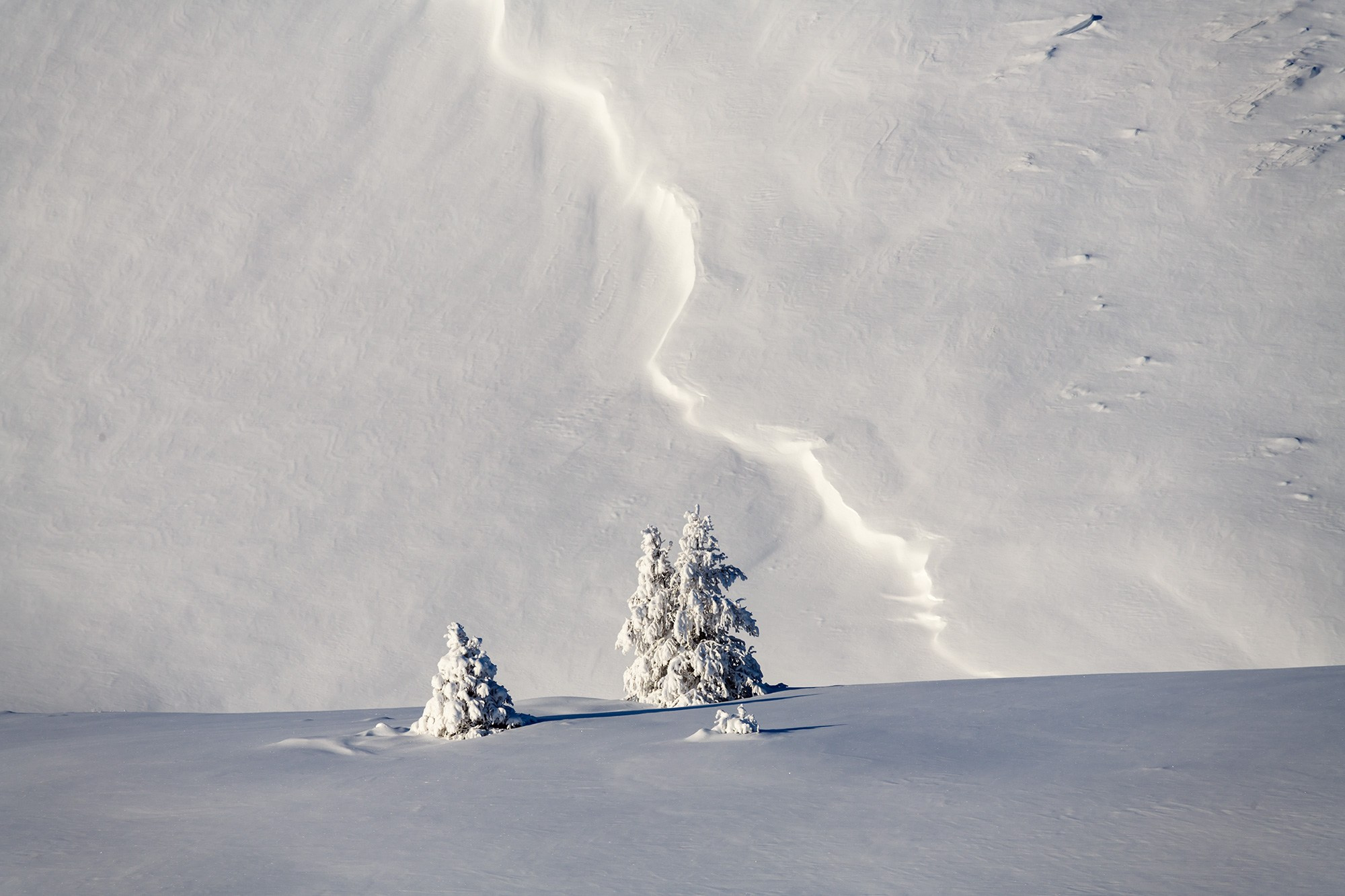 Программа зимней фотоэкспедиции в хребет Улахан-Чистай. Якутия