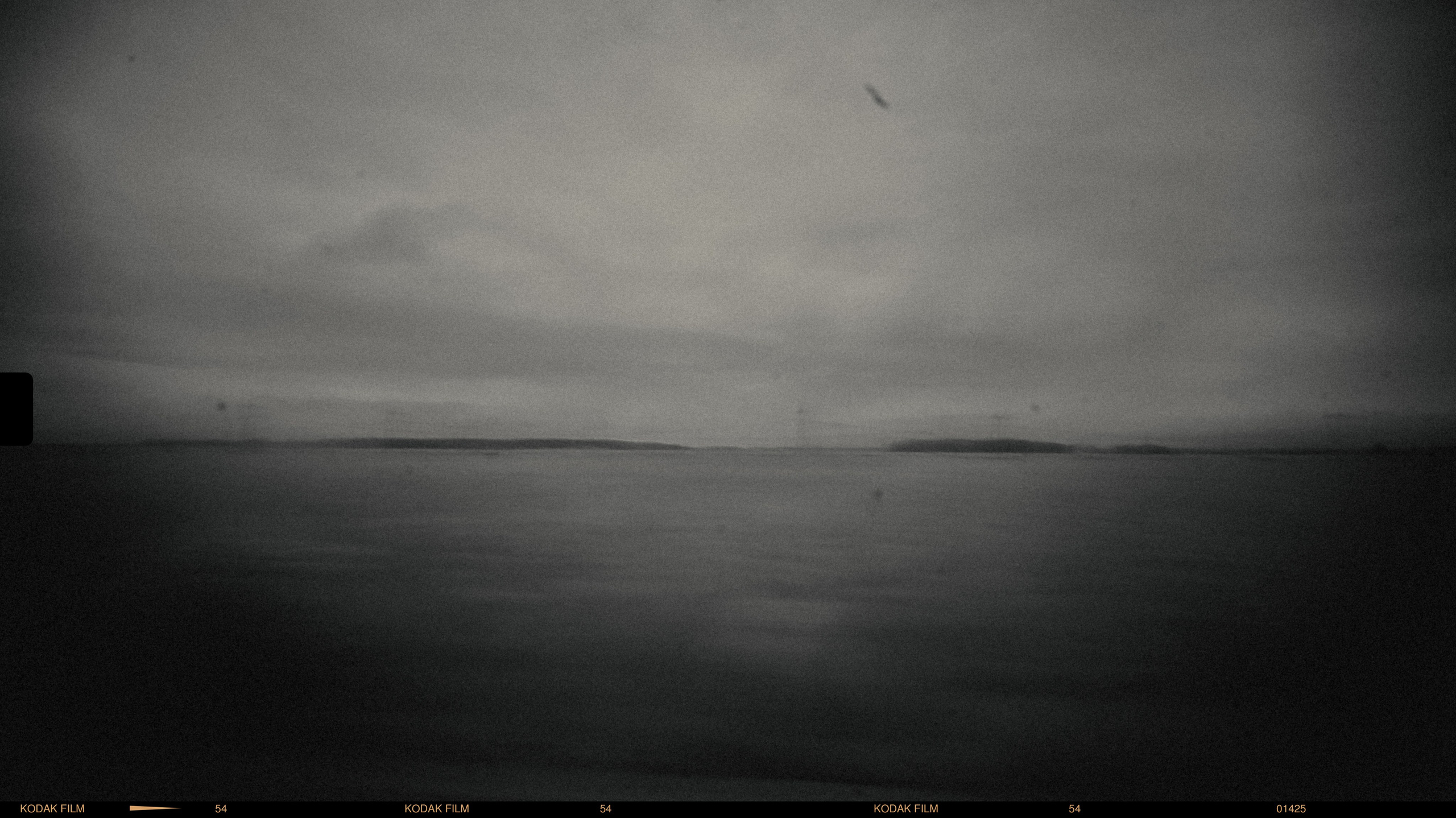 фотография черно белая природа