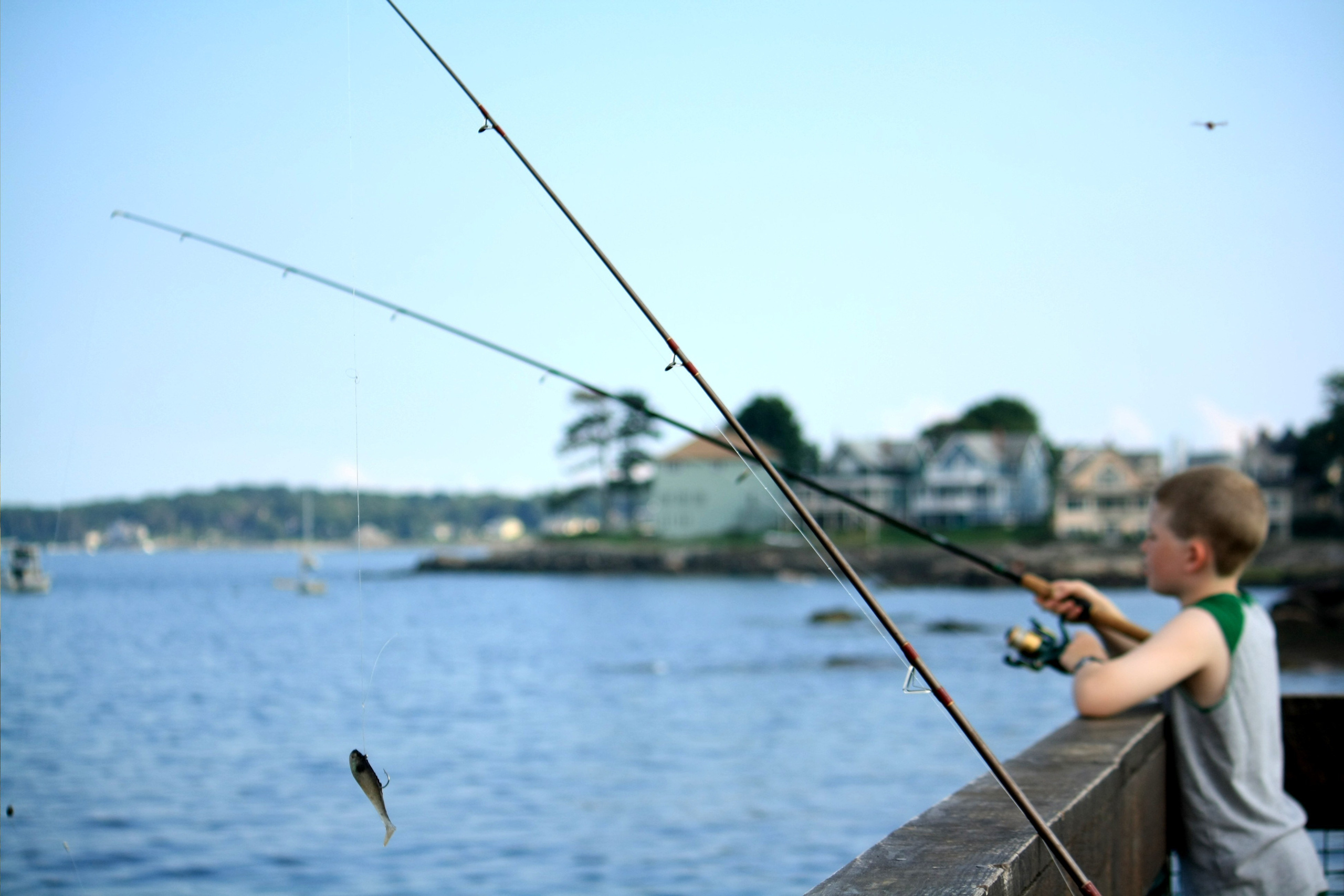 Атмосферная натурная фотография. Любовь Каширская — фотограф для малого бизнеса и специалистов