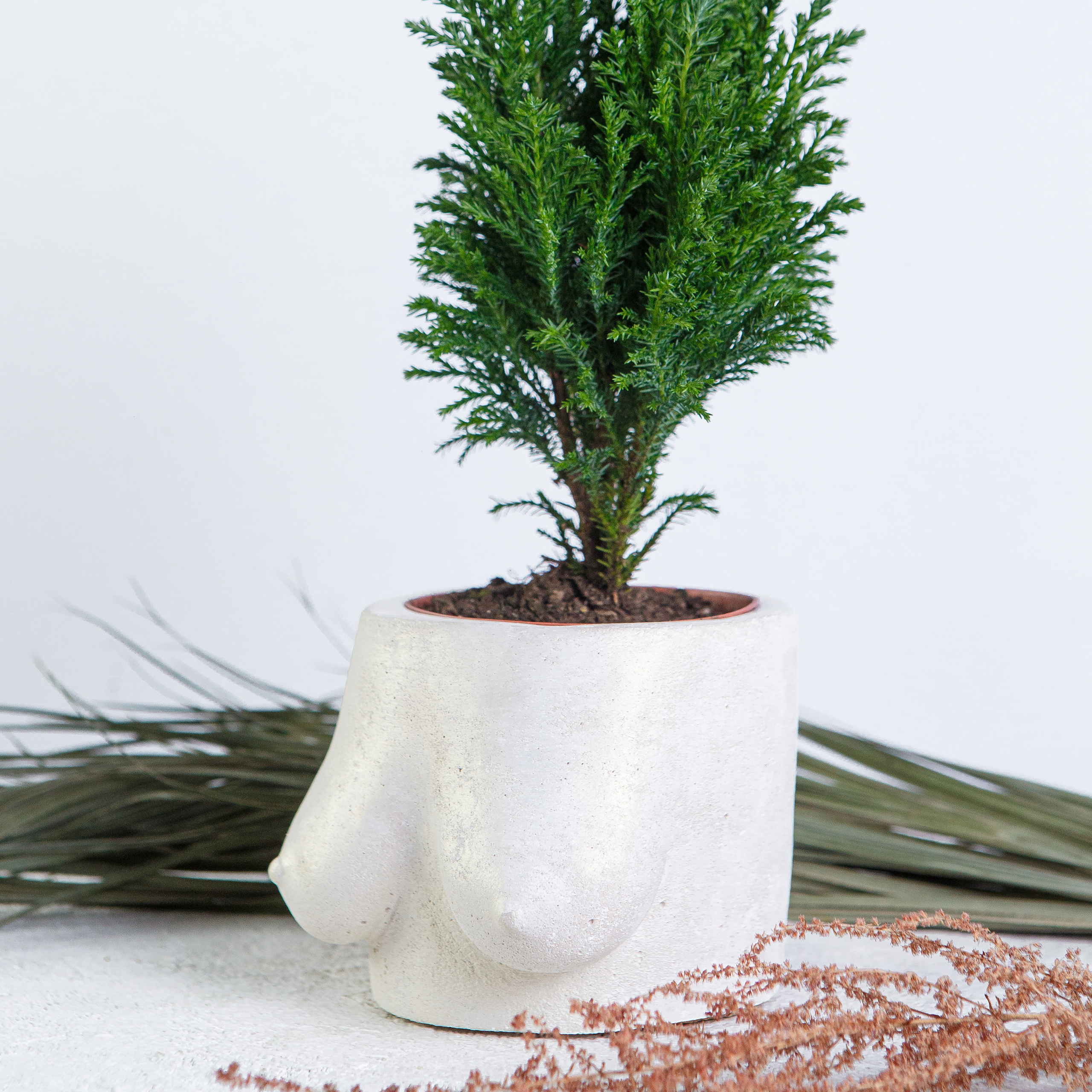 Предметная. Медиа компания «First Media» Иваново, Москва, Кострома, Ярославль, Владимир