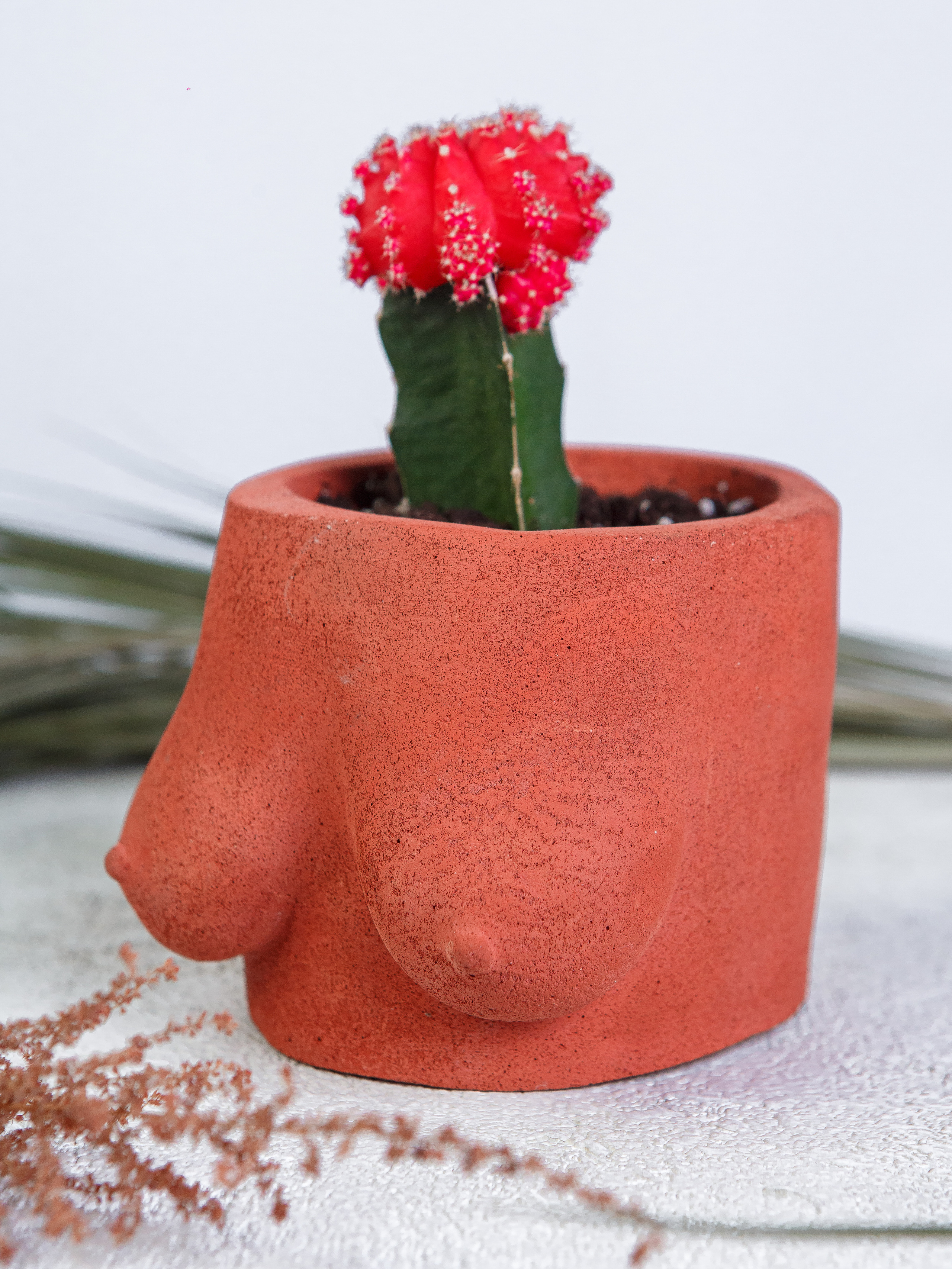 Предметная. Медиа компания «First Media» Иваново, Москва, Кострома, Ярославль, Владимир