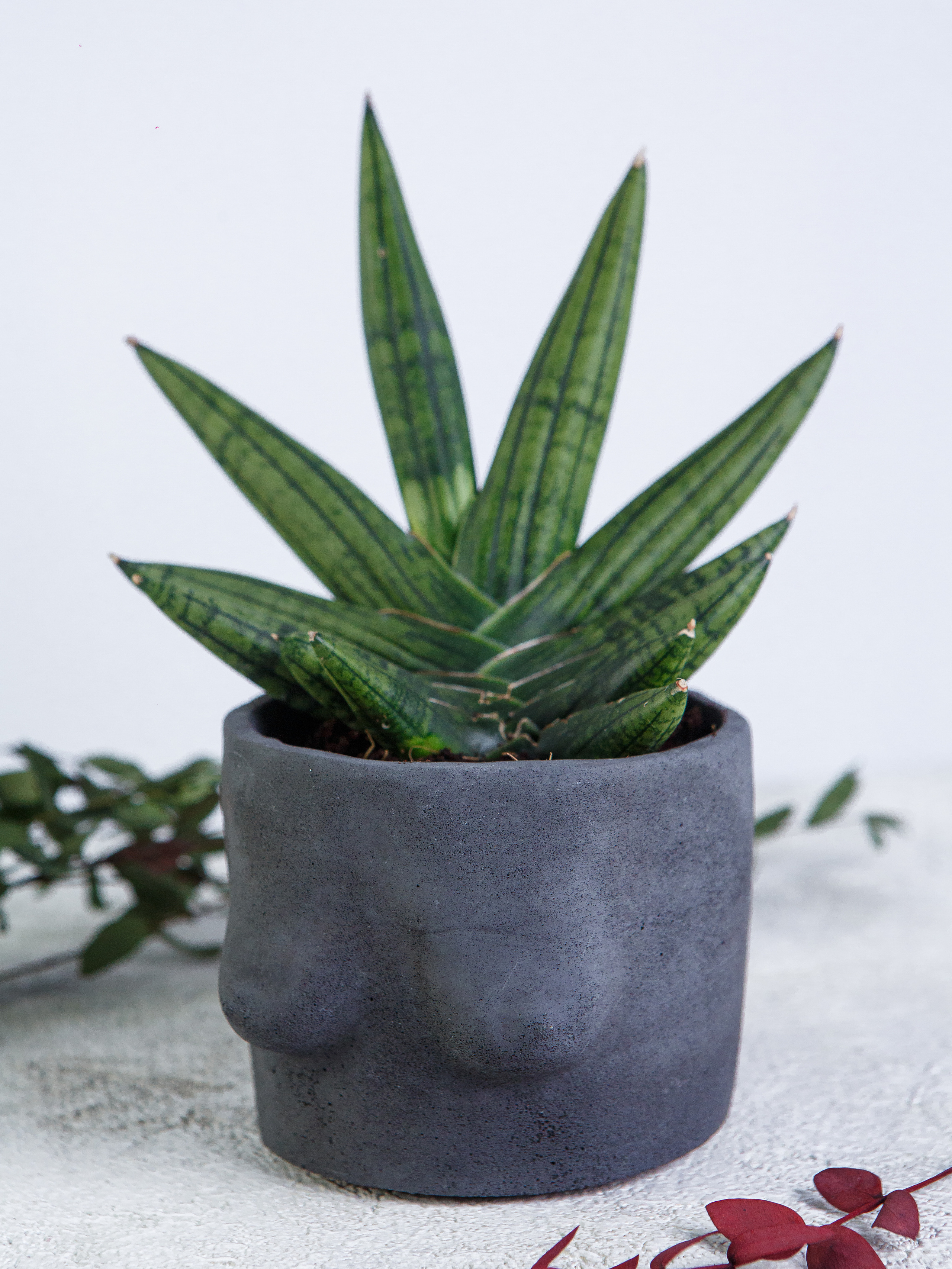 Предметная. Медиа компания «First Media» Иваново, Москва, Кострома, Ярославль, Владимир