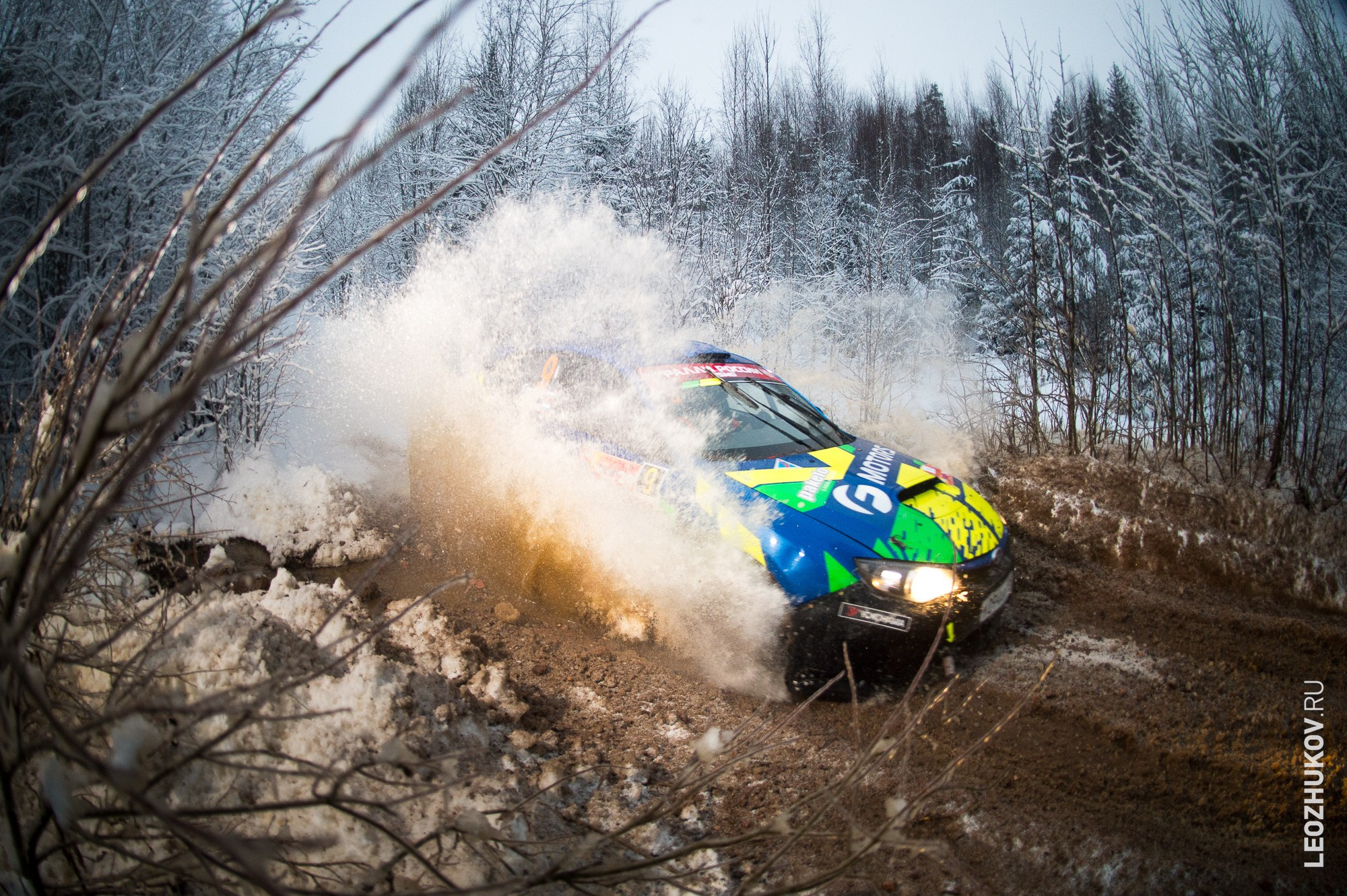 Rally Vyborg 2024. Sports photographer Leonid Zhukov