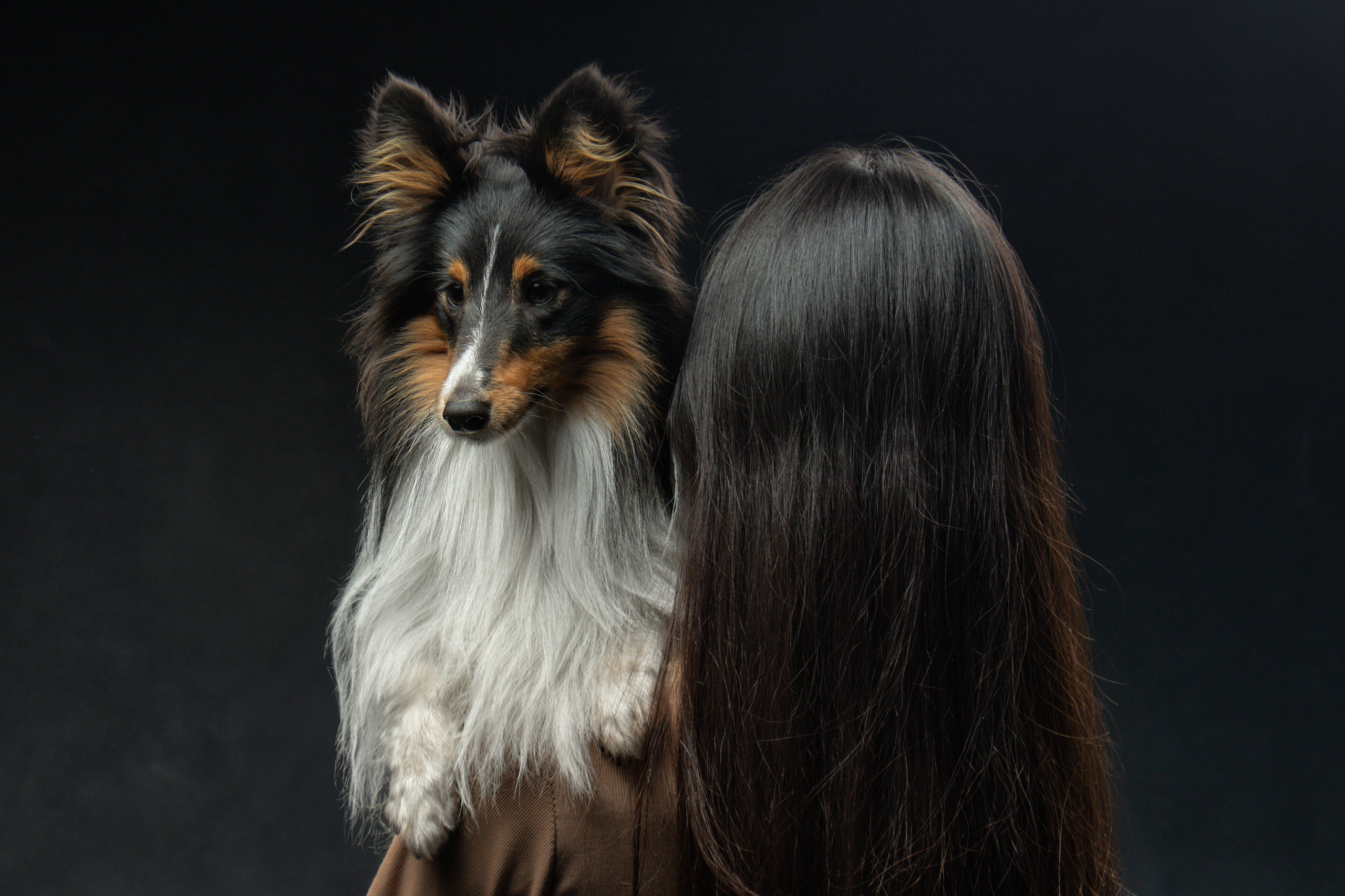 Мастер-класс Светланы Писаревой по студийной съемке. Фотограф-анималист Юлия Зубкова