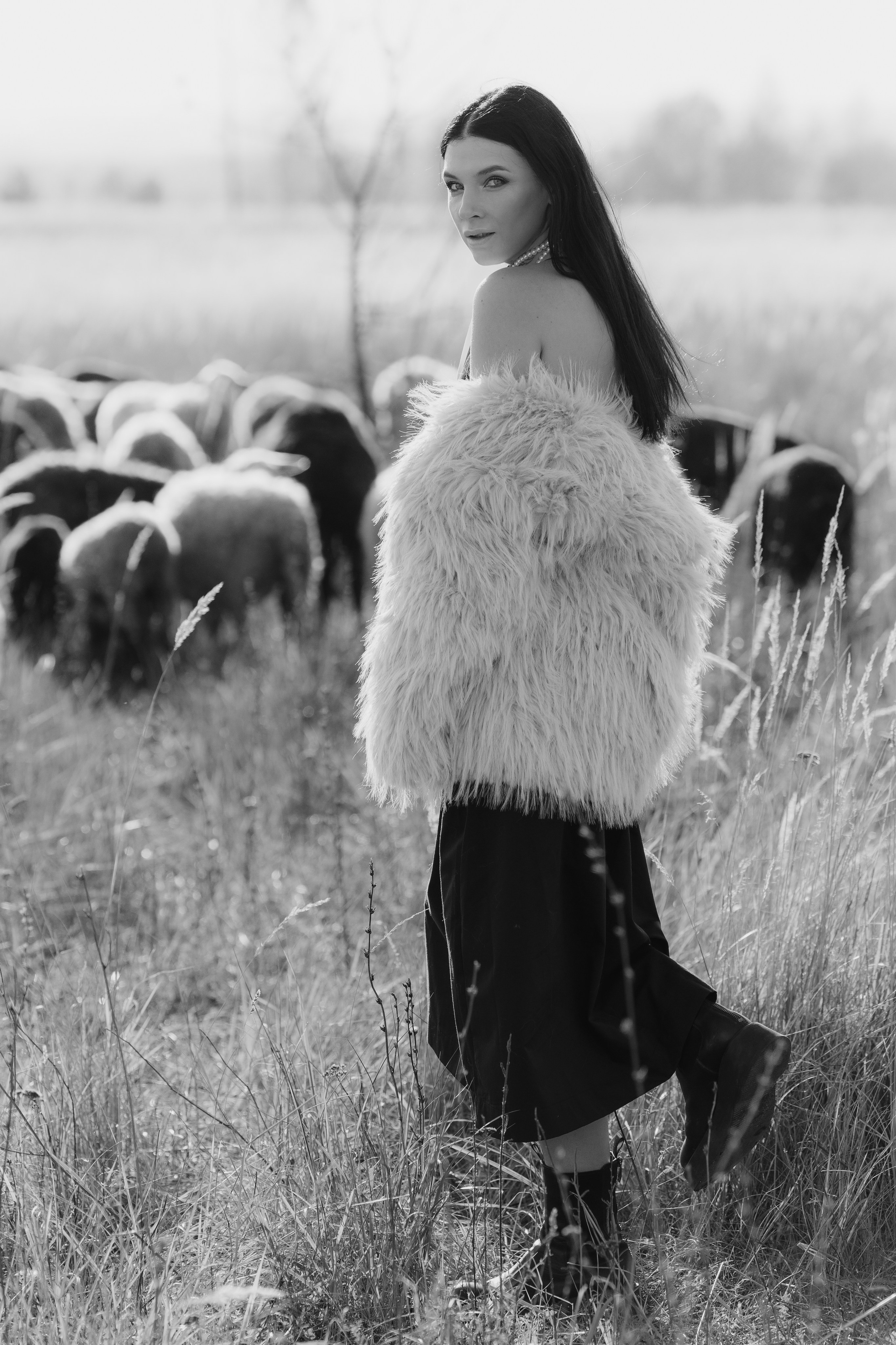 Охота на овец