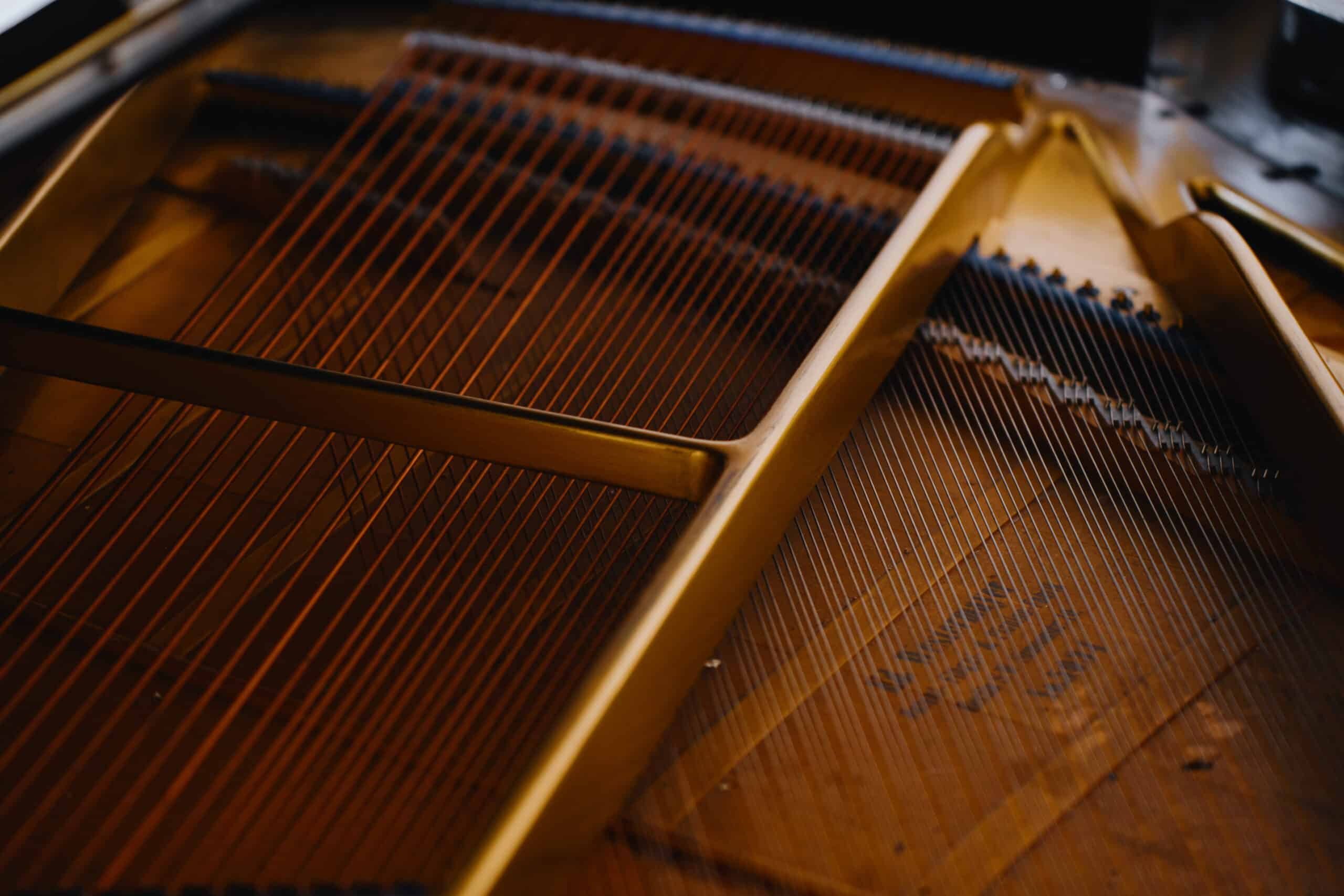 Фотостудия Photohub — всё для комфортной и красивой съёмки. Фотограф в Минске Людмила Дутко