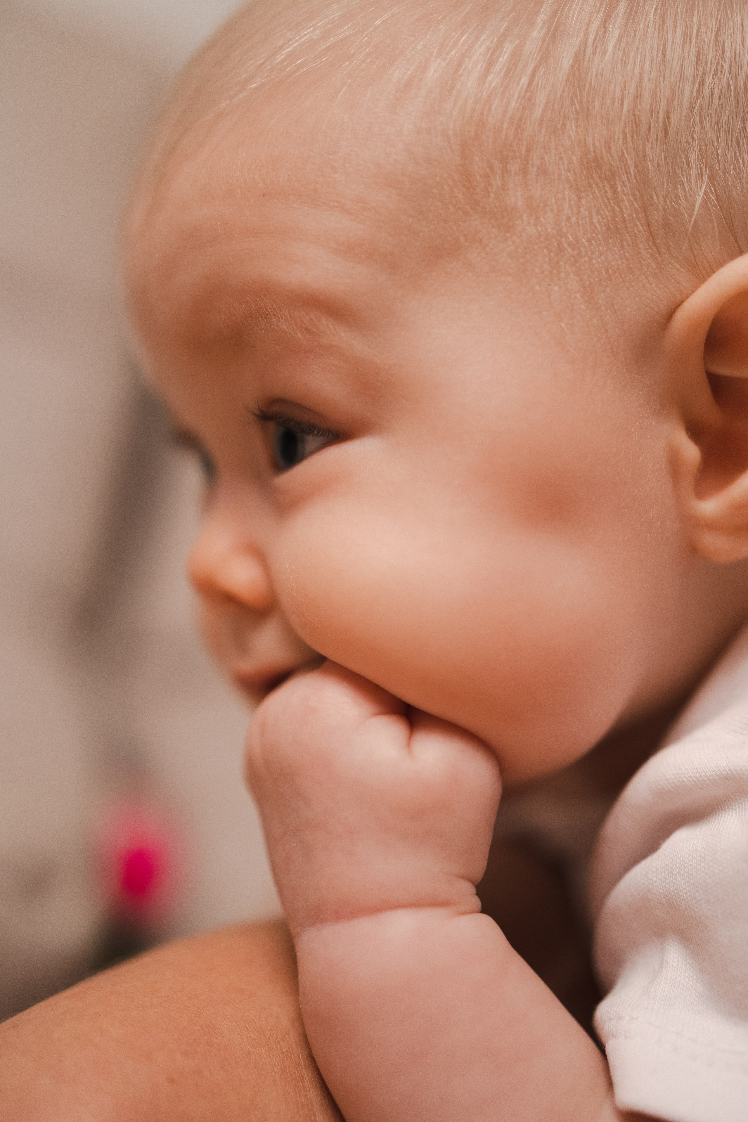 Услуги. Арт-фотограф Вика Шаблий, Санкт-Петербург
