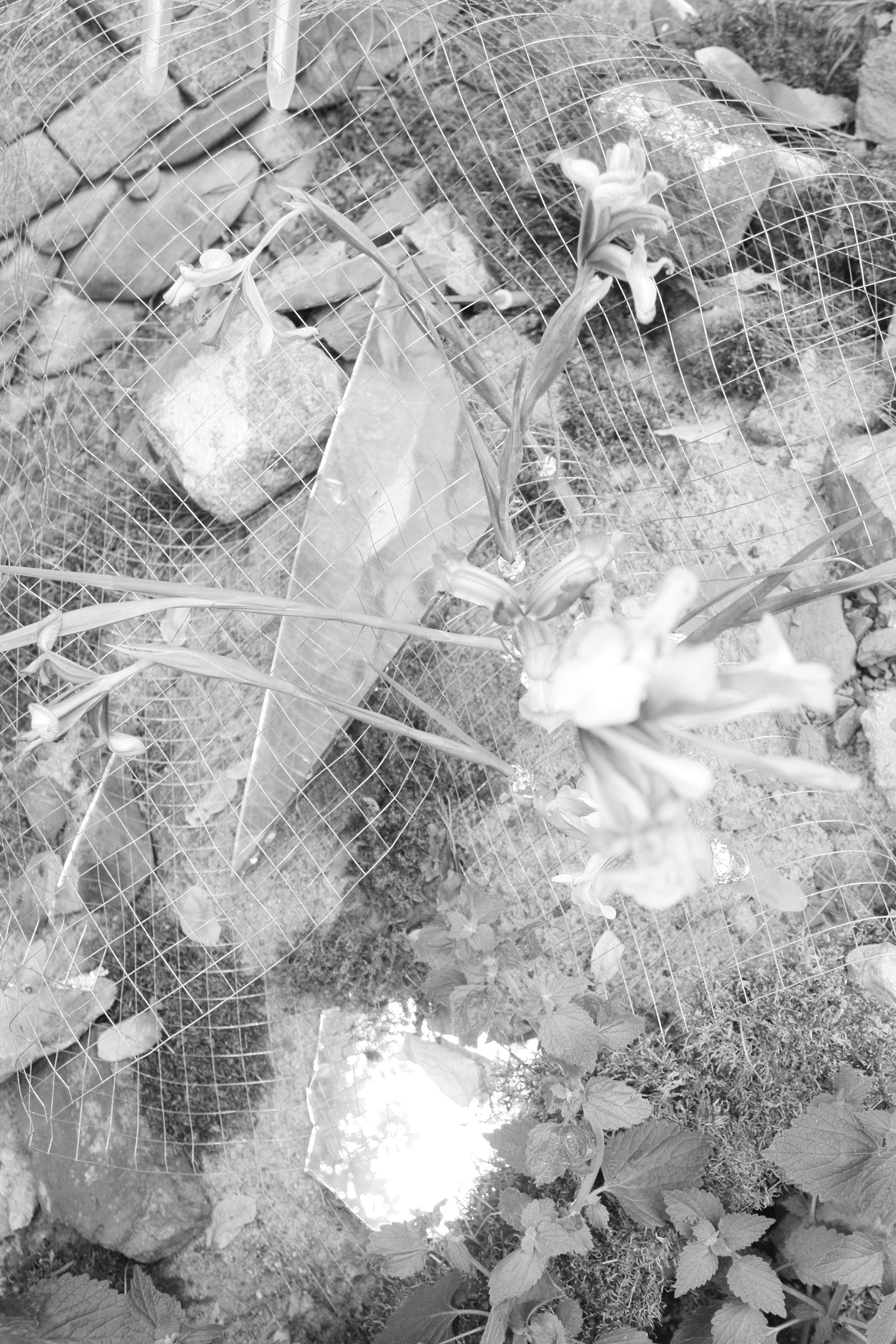 2025, UTOPIA group exhibition. KST