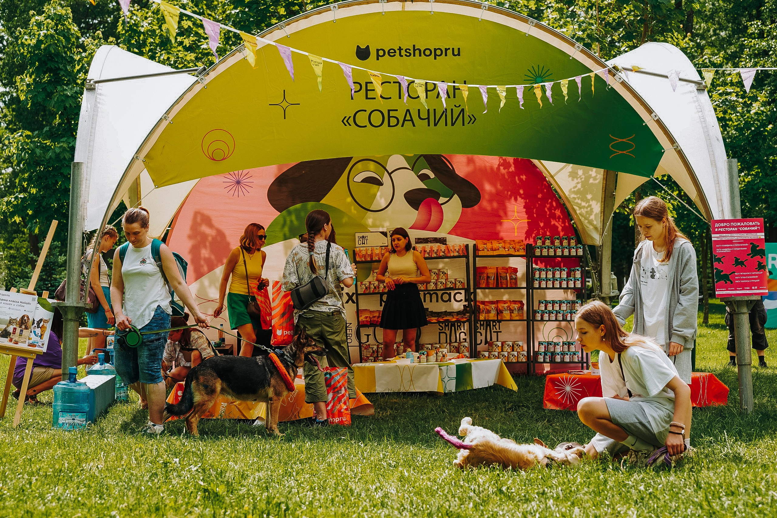 Цены за фотосессию с собакой. Фотограф анималист в Спб недорого Олеся Майорова