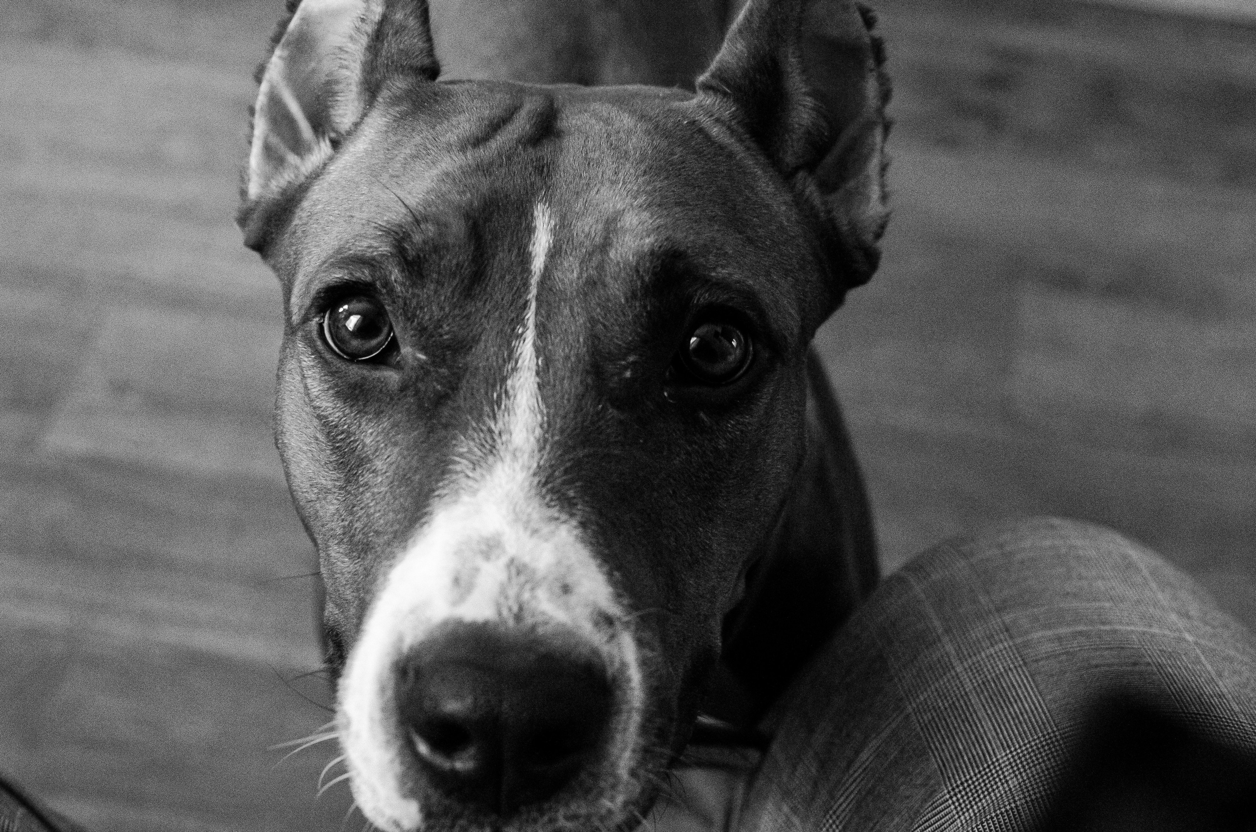 Семейный фотограф в Ростове-на-Дону. Мероприятия, крещение. Екатерина Балецкая