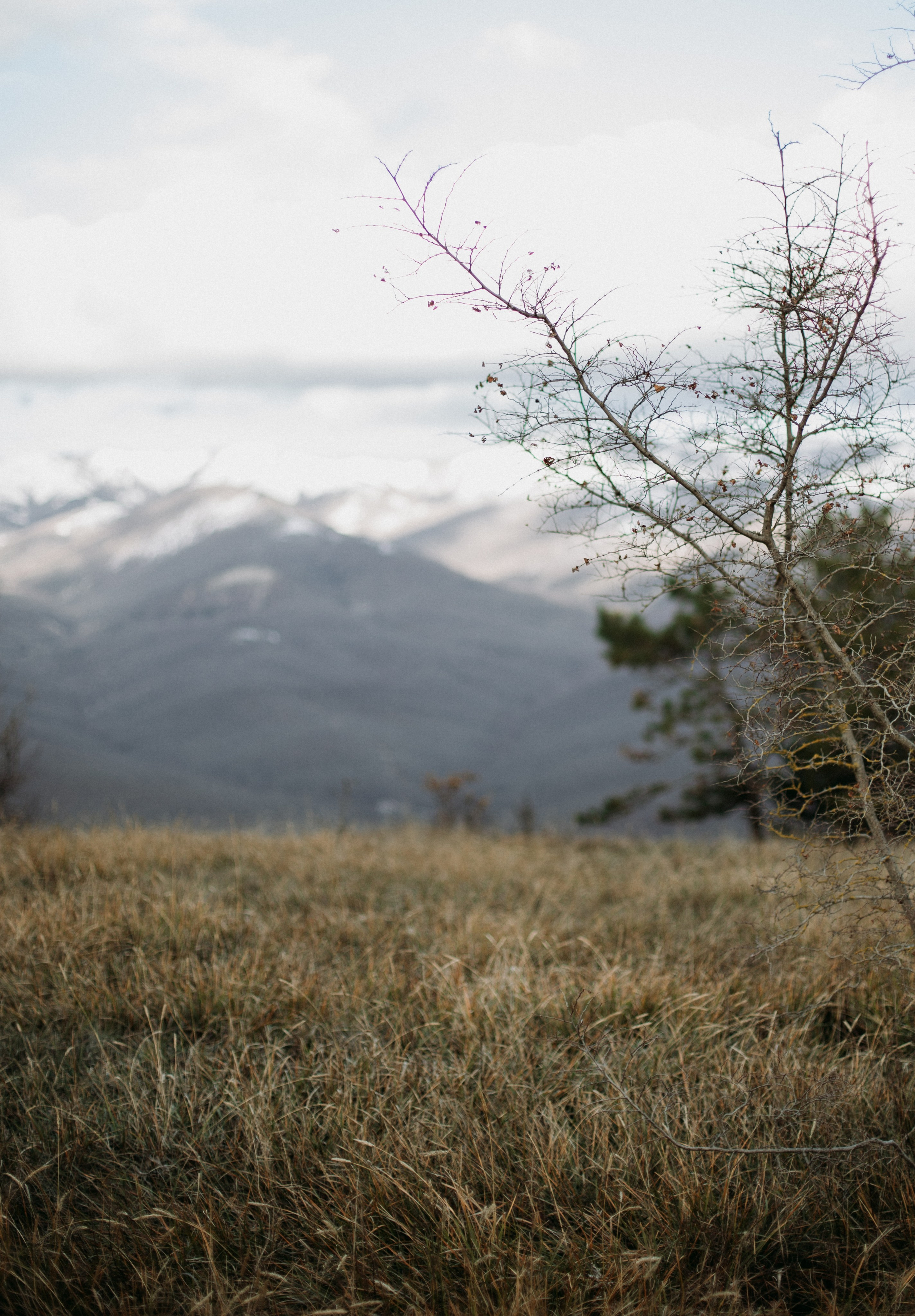 Дороги земли ветров. Портретный фотограф в Москве и Геленджике Кирилл Вахитов