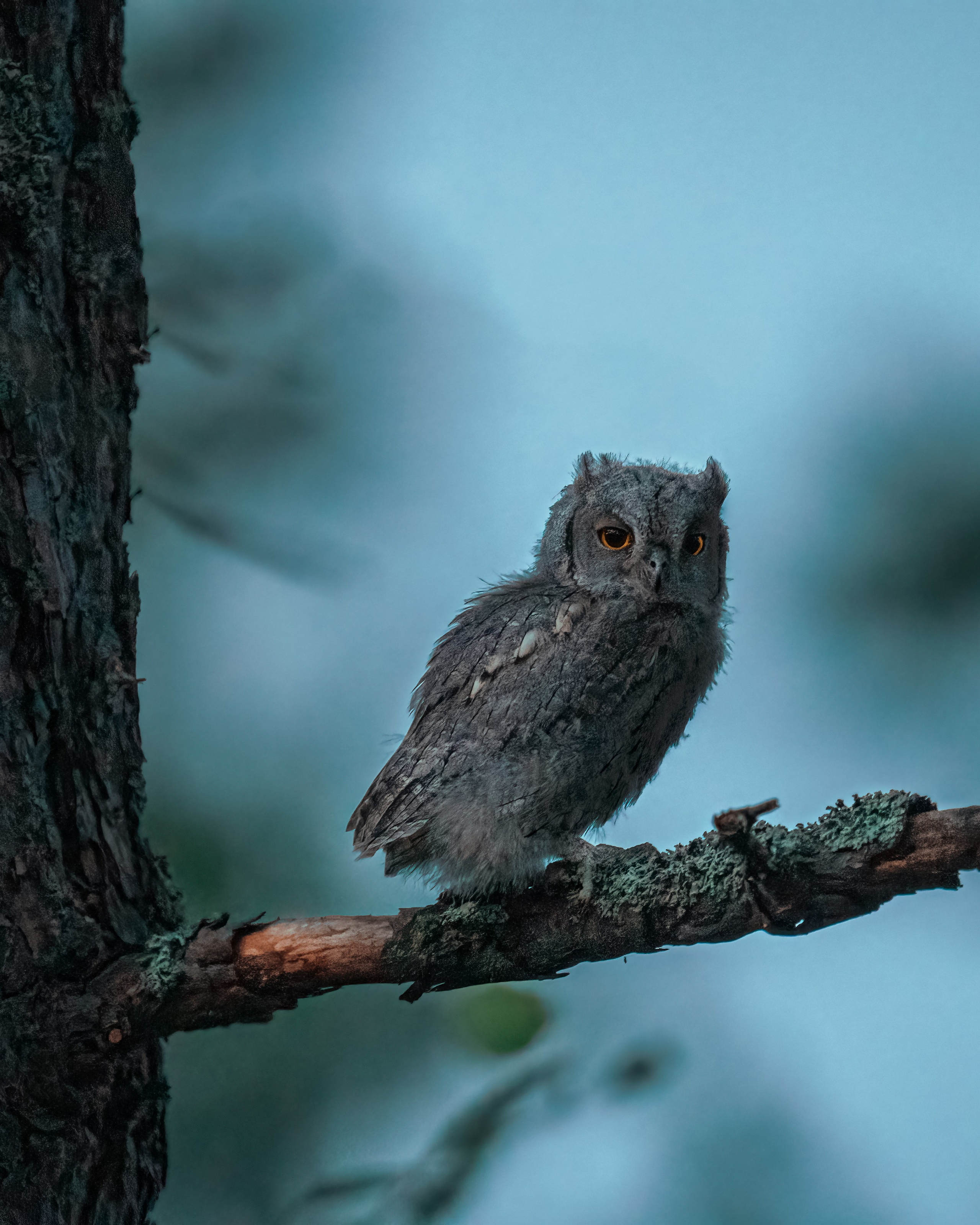 C H I L L S I D E | Контент фотограф в Чебоксарах