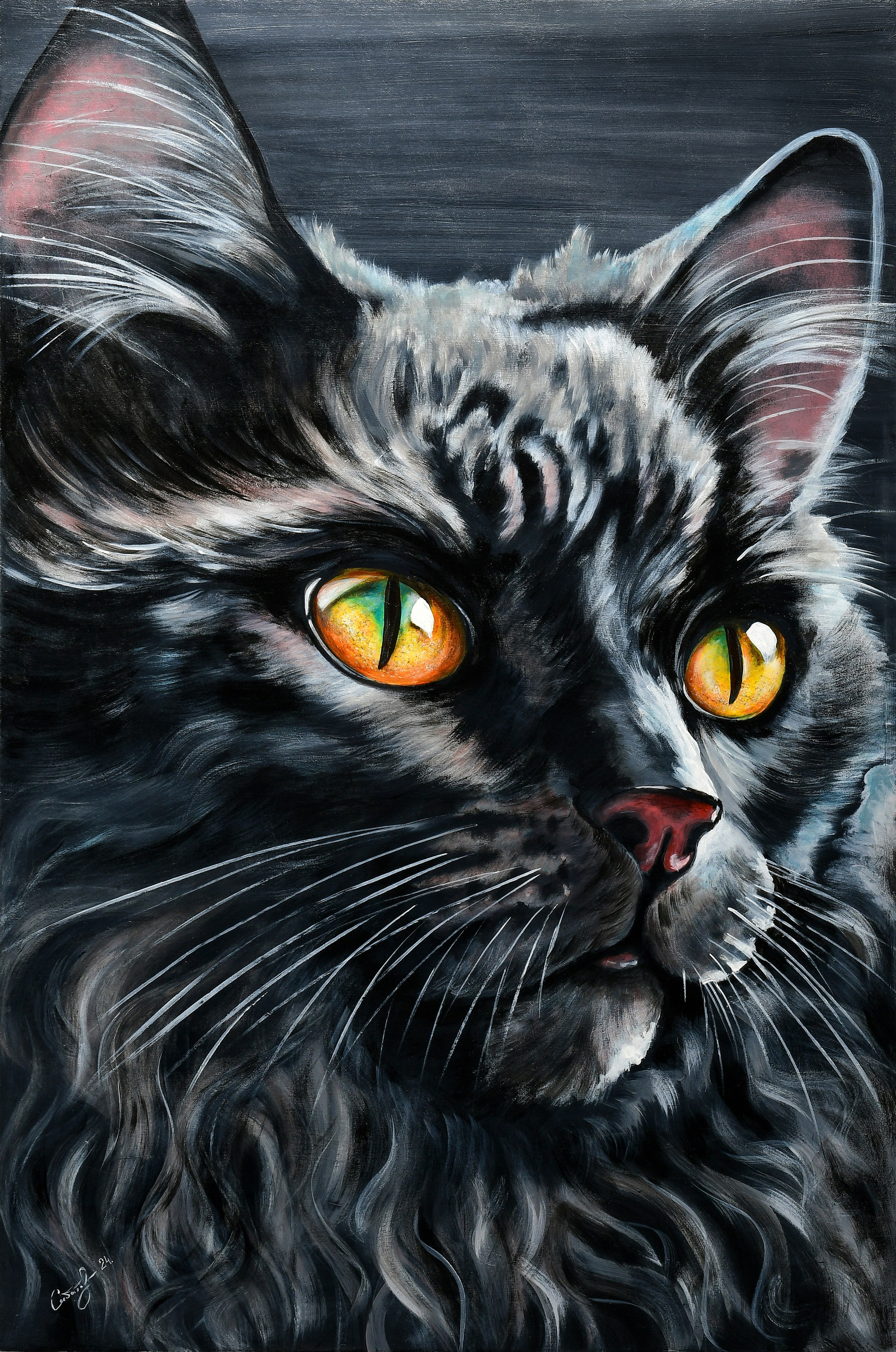 Предметная съемка картин и рисунков с кошкой