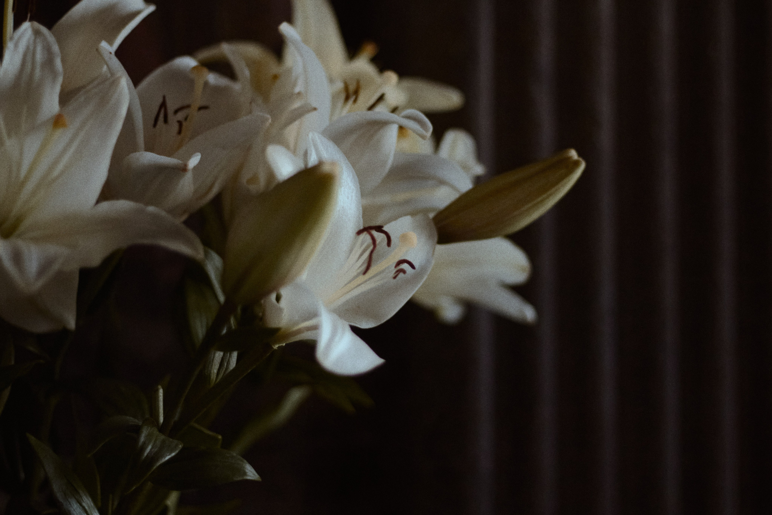 По мотивам Возрождения. Фотограф лавстори Москва/МО Приятелева Ангелина