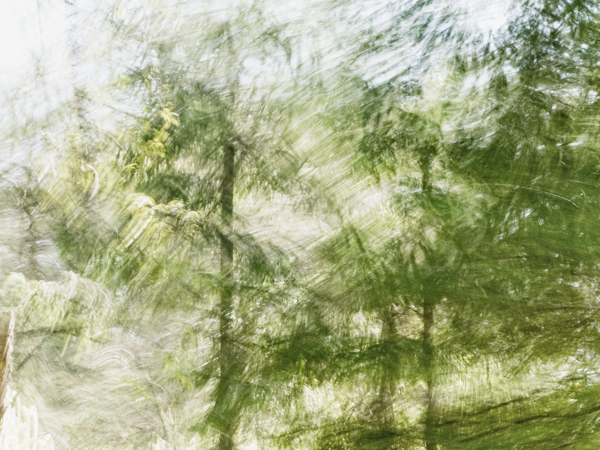 Елена Гонтаренко — художественный портрет. Фотограф в России, Семейный фотограф, репортажный фотограф, детский фотограф, портретный фотограф, контент фотограф, универсальный фотограф