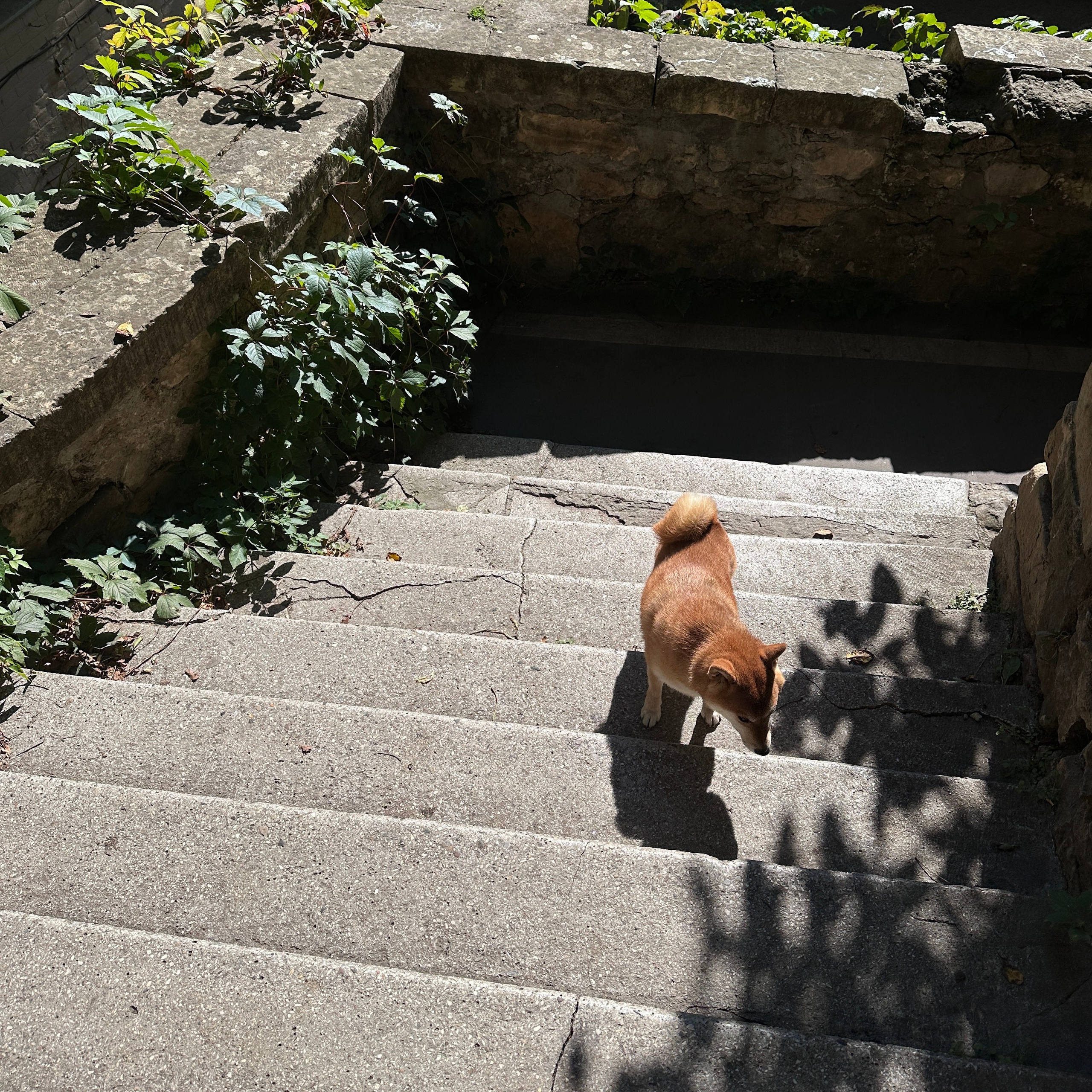 Кисловодск. Смотри, красота!