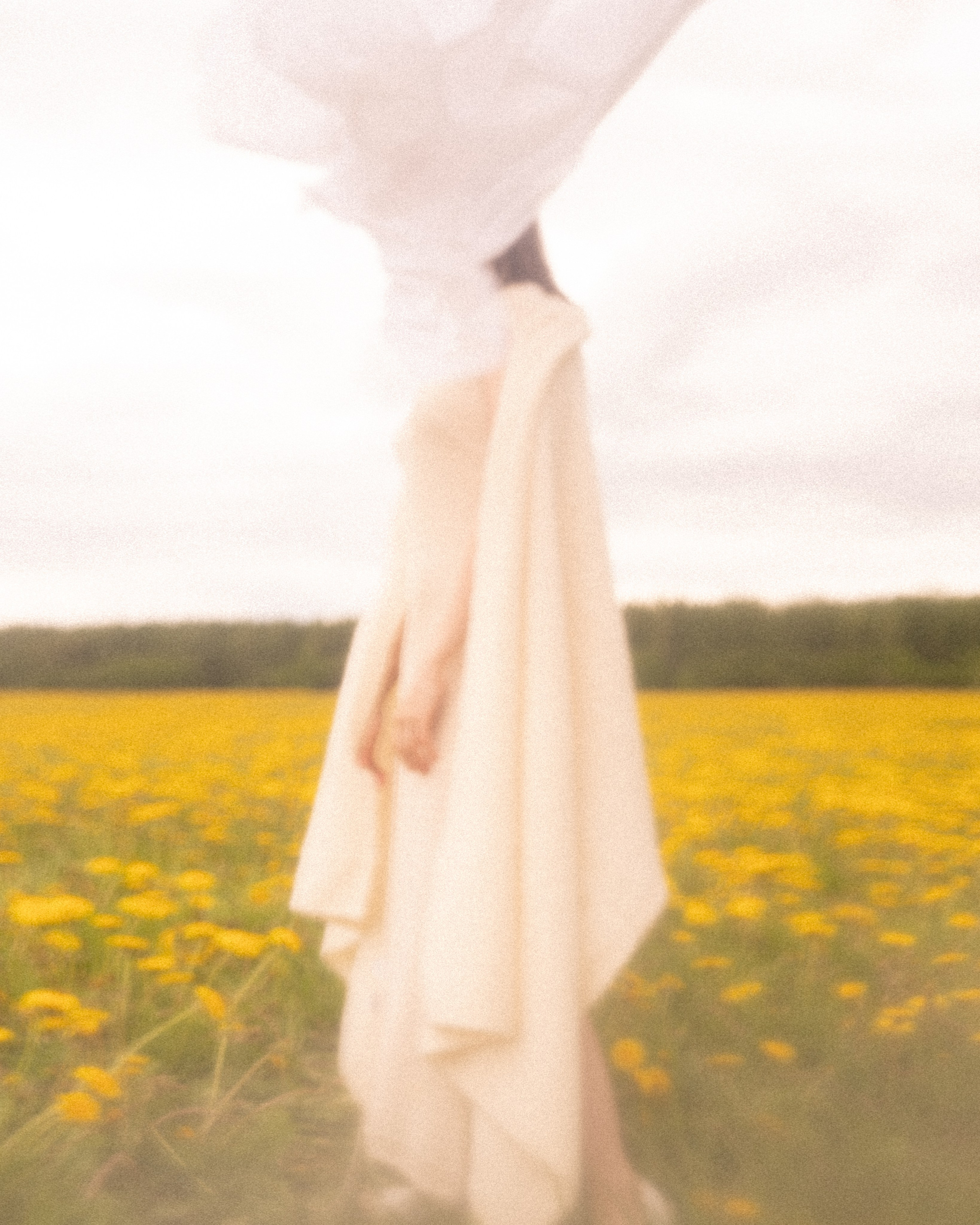 DANDELION FIELD. Liliya Zhilina — visual artist and art-fashion photographer