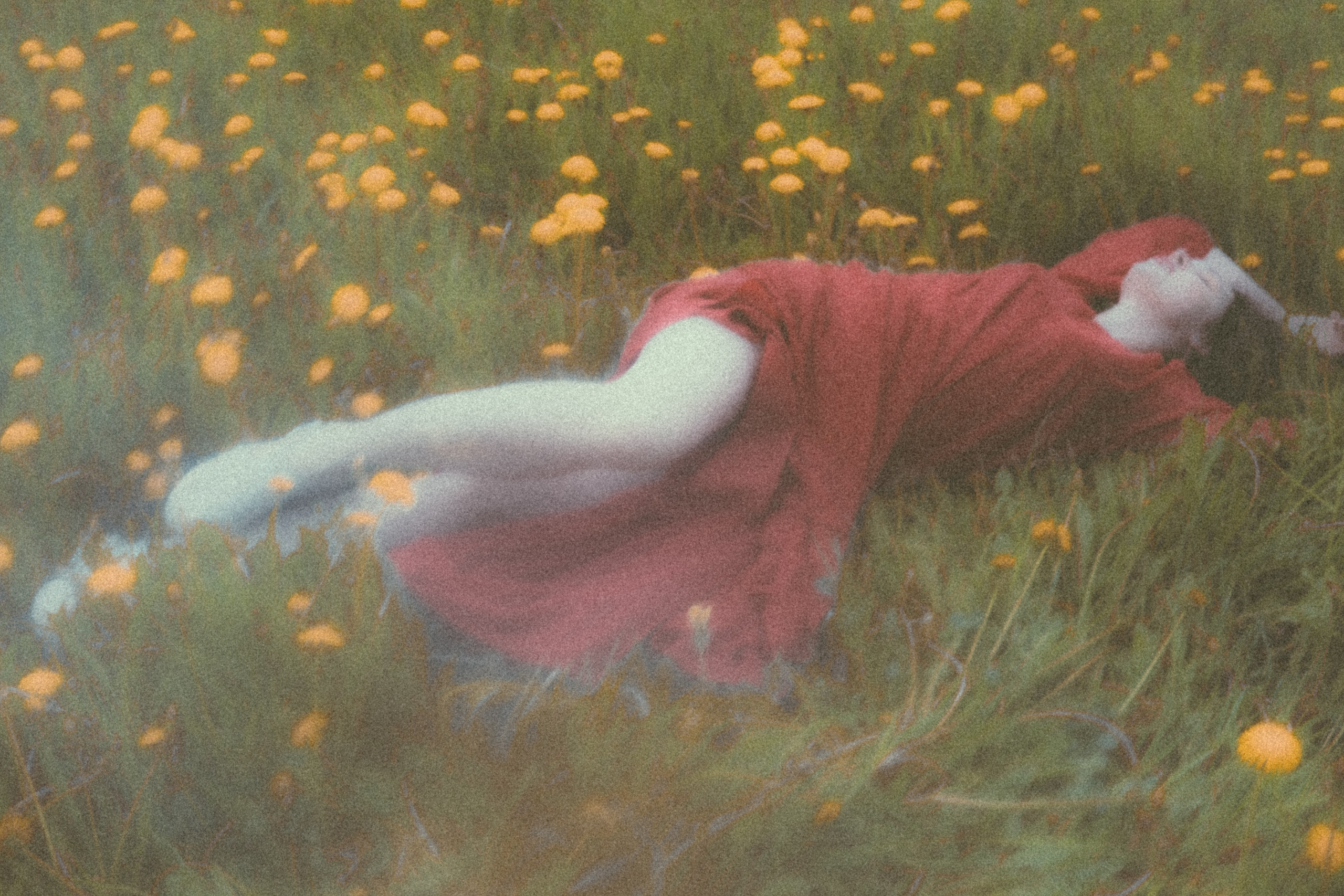 DANDELION FIELD. Liliya Zhilina — visual artist and art-fashion photographer
