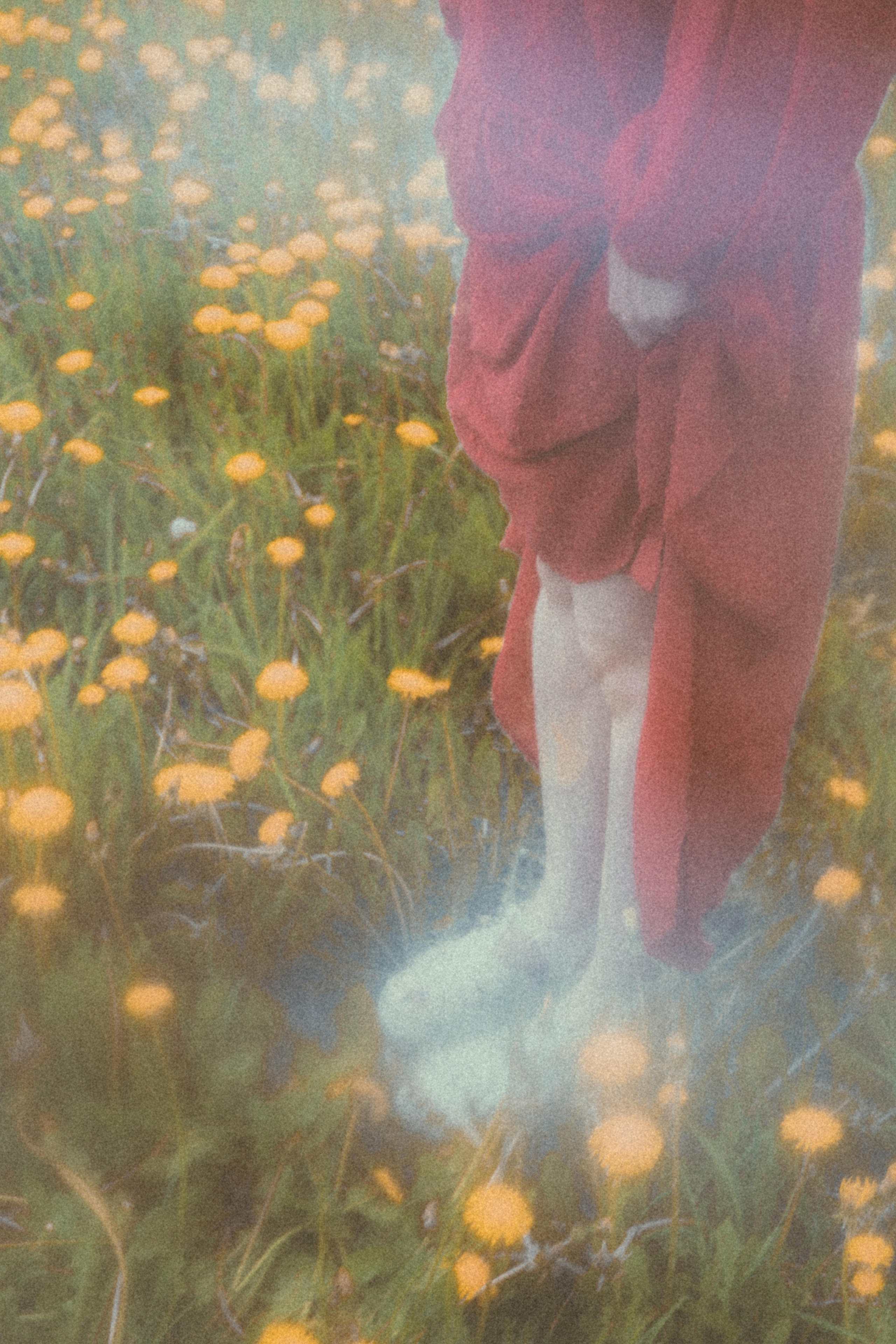 DANDELION FIELD. Liliya Zhilina — visual artist and art-fashion photographer