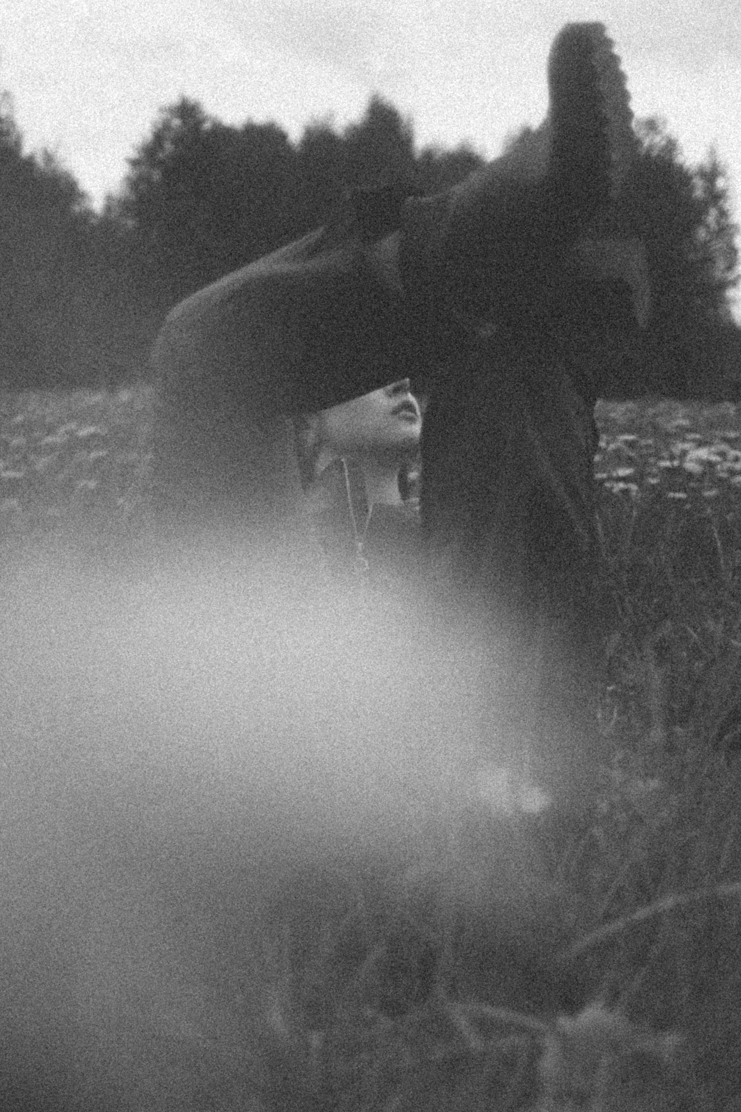 DANDELION FIELD. Liliya Zhilina — visual artist and art-fashion photographer