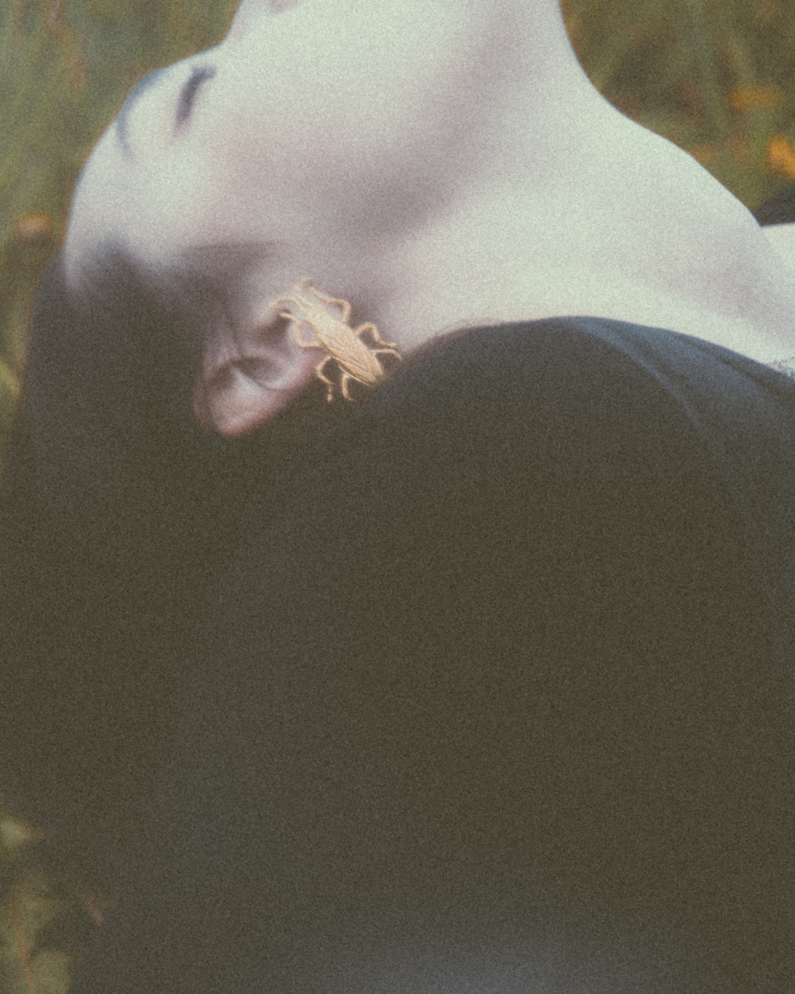DANDELION FIELD. Liliya Zhilina — visual artist and art-fashion photographer
