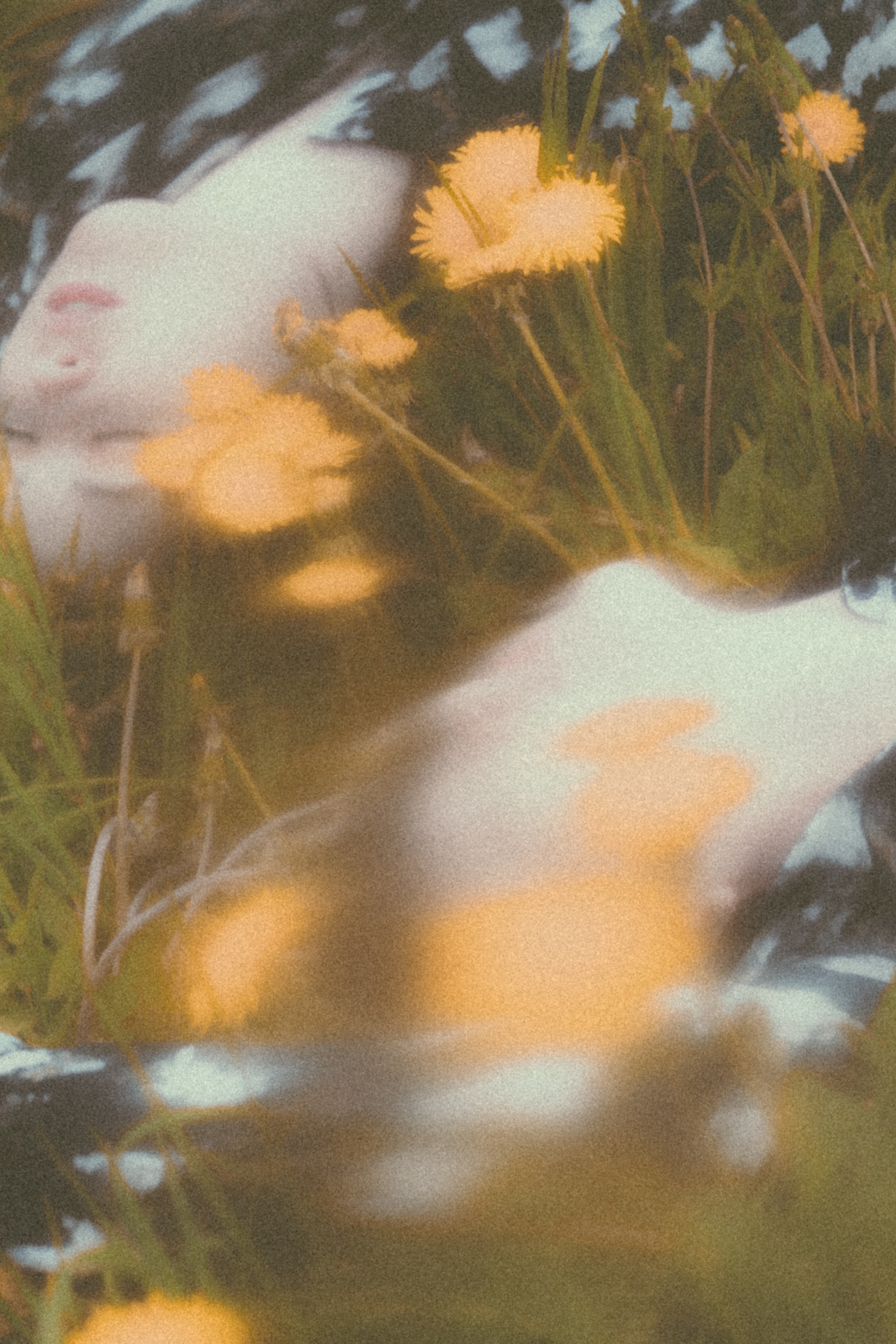 DANDELION FIELD. Liliya Zhilina — visual artist and art-fashion photographer