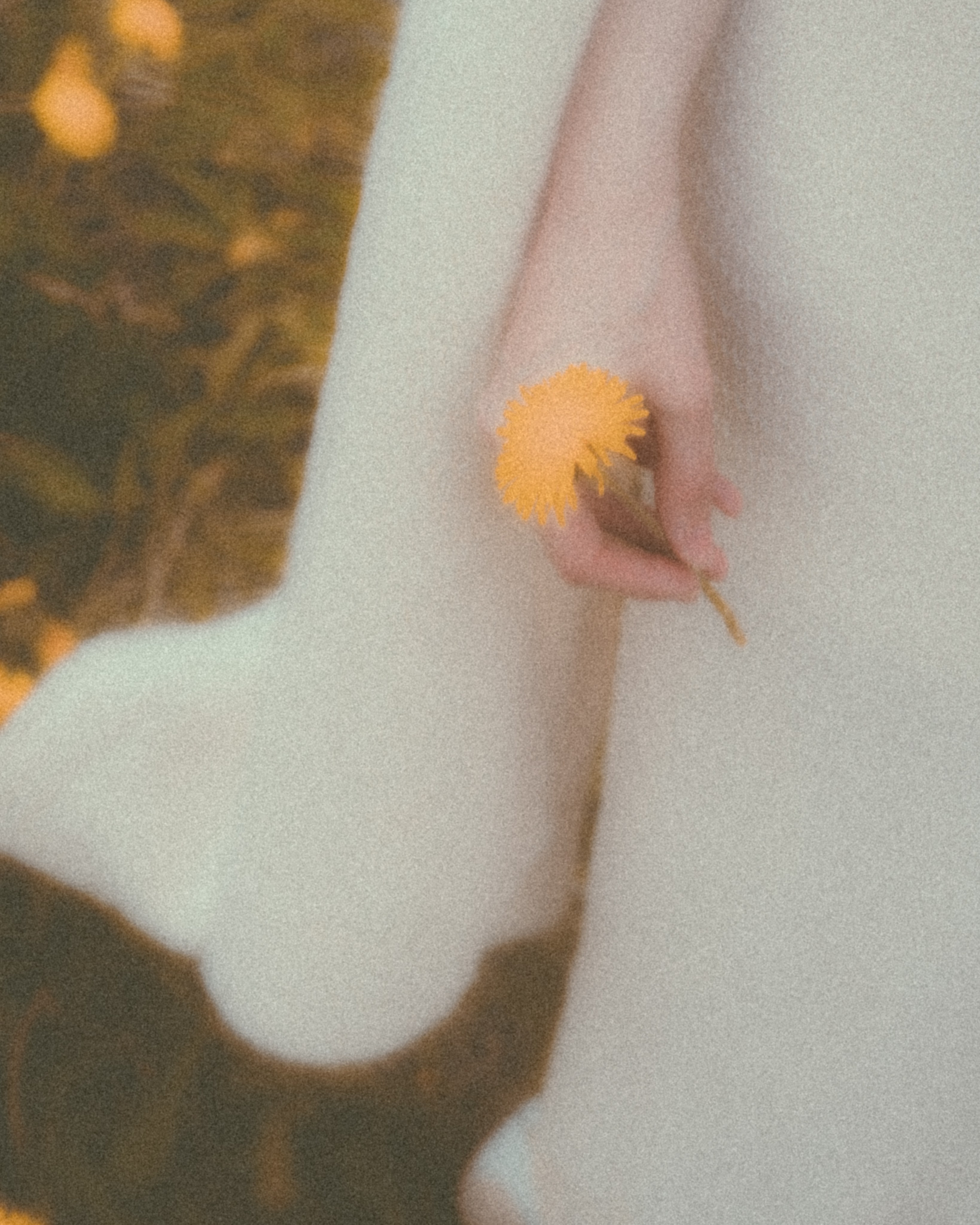 DANDELION FIELD. Liliya Zhilina — visual artist and art-fashion photographer