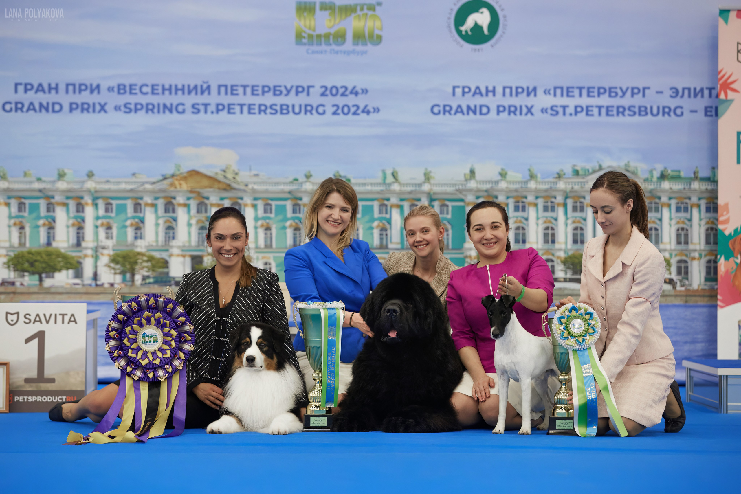 NDS GRAND PRIX «SPRING PETERSBURG 2024» «ELITE-PETERSBURG 2024». ФОТОГРАФ-АНИМАЛИСТ l LANA POLYAKOVA