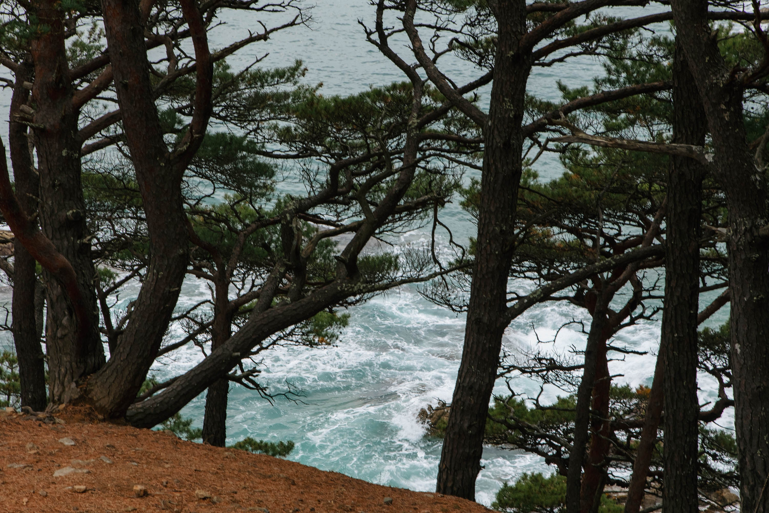 Пока не застроили. Evgeniya Kokurina