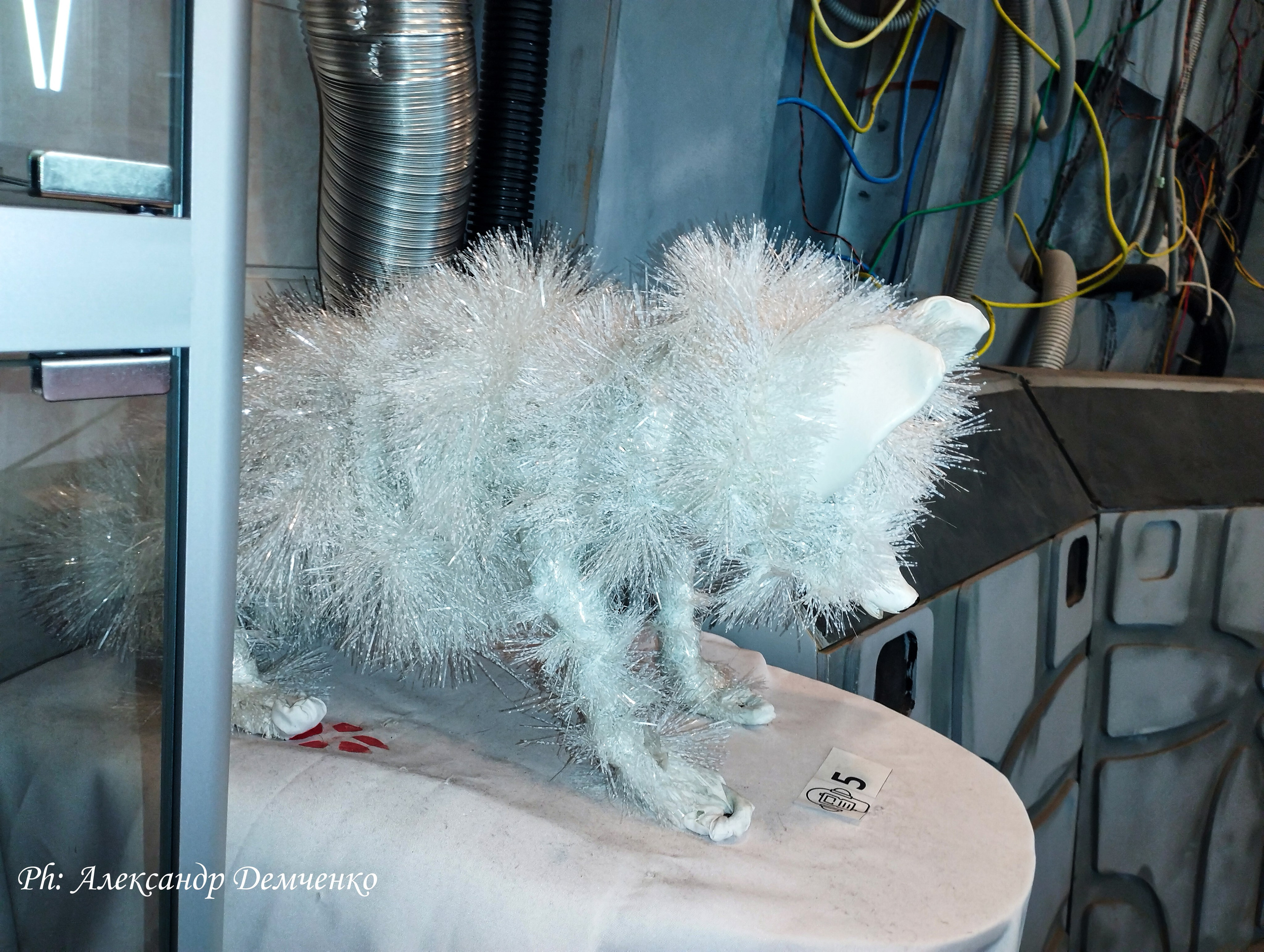 Фотосессия в музее Звездные Войны Далёкой Галактике в Москва