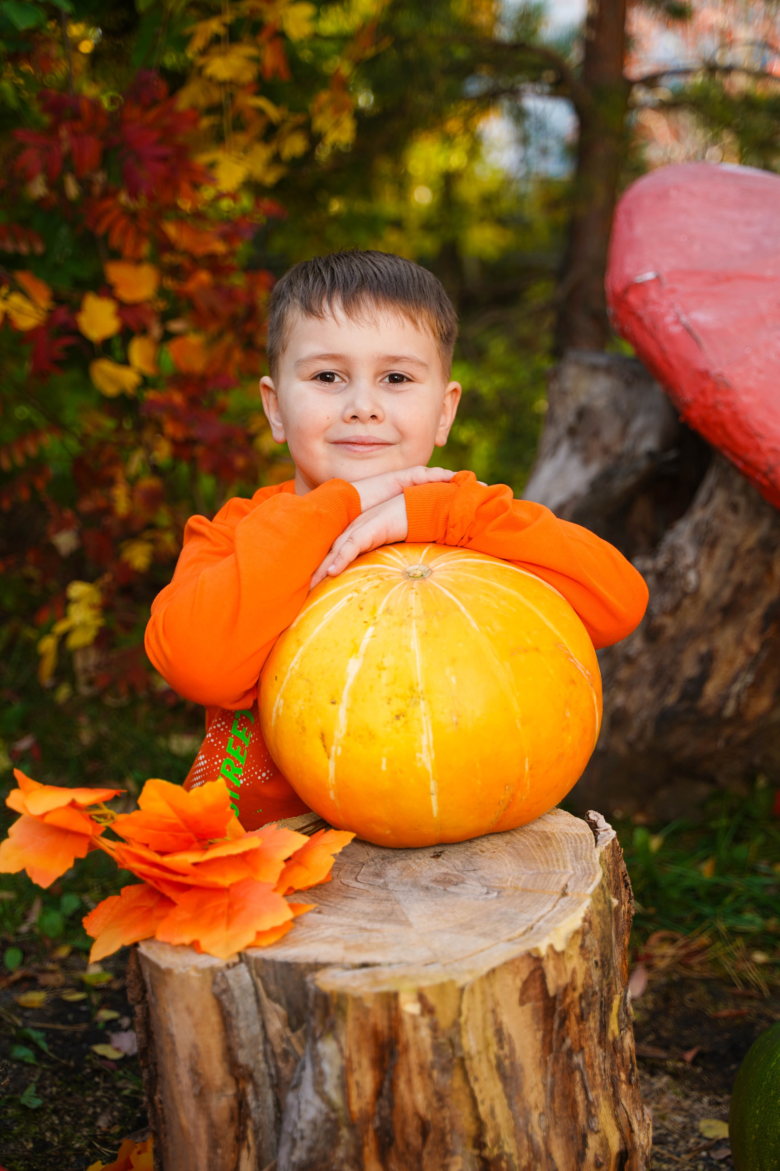 Фон. Детская фотография в Анжеро-Судженске