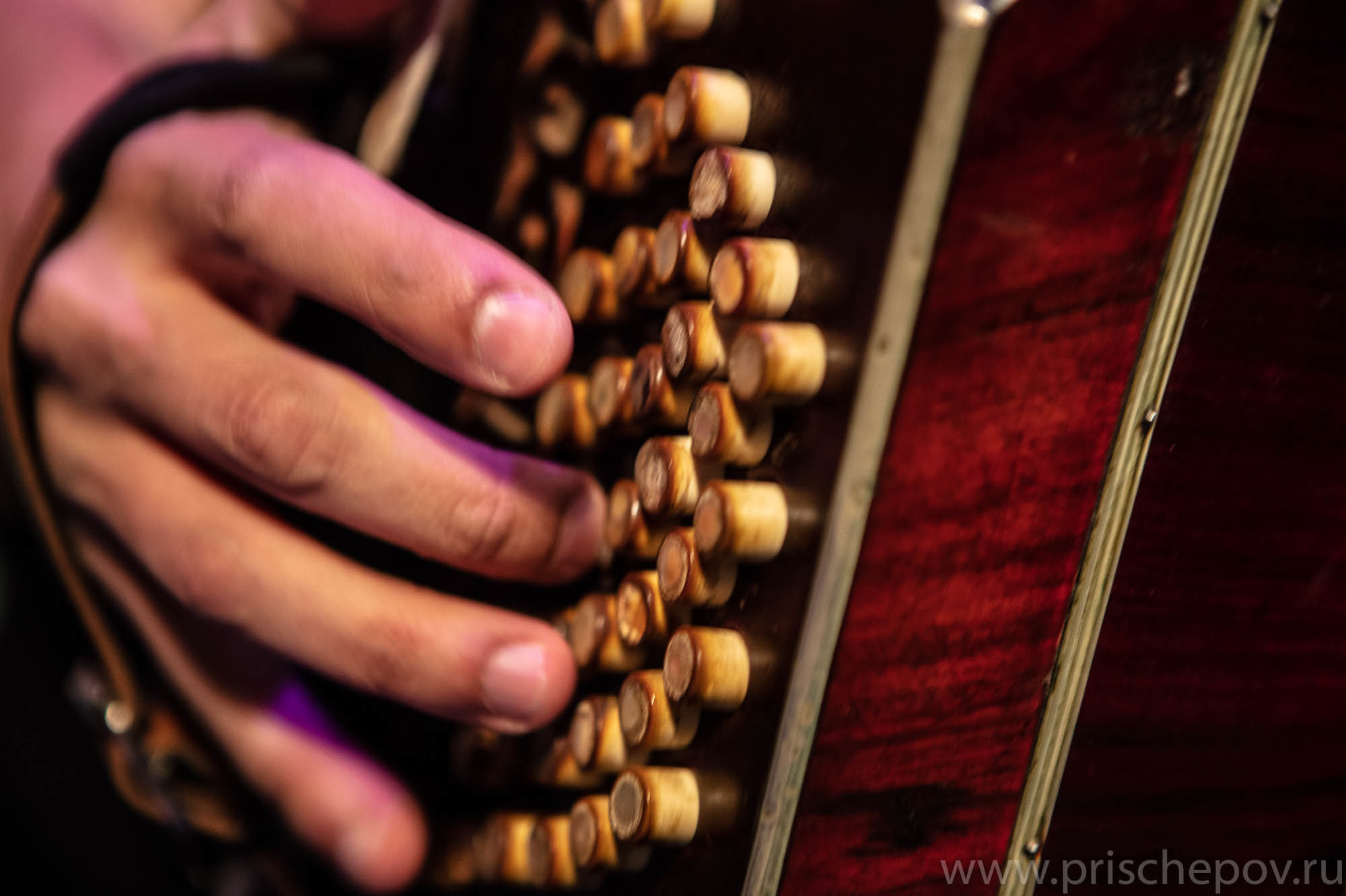 Stanislav Fursov & Katy Simonova, El Cachivache Quinteto, 16.10.2019. Александр Прищепов - фотограф, режиссёр, продюсер