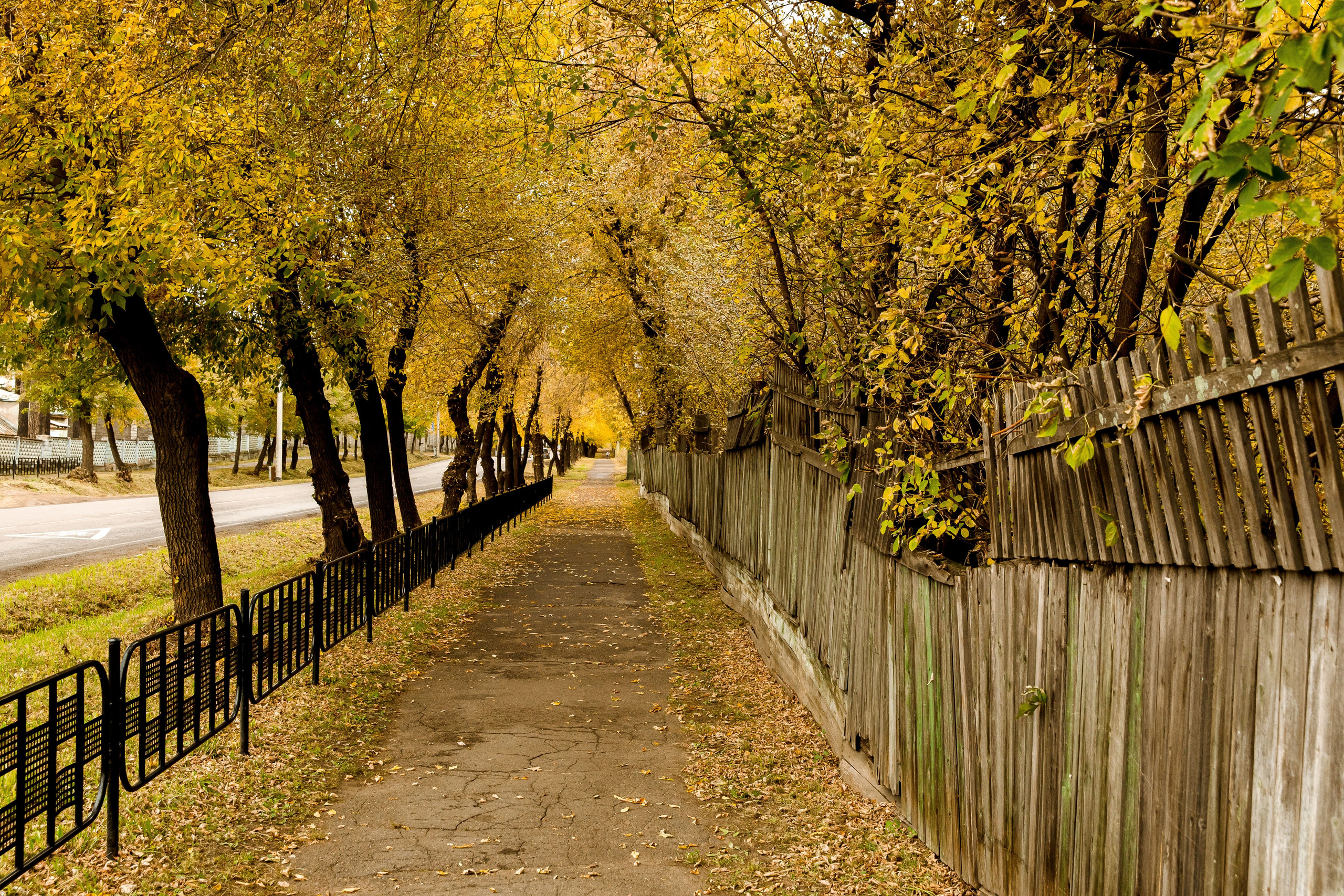 Осень в парке. Семейный и детский фотограф в Железногорске Саламахо Ольга