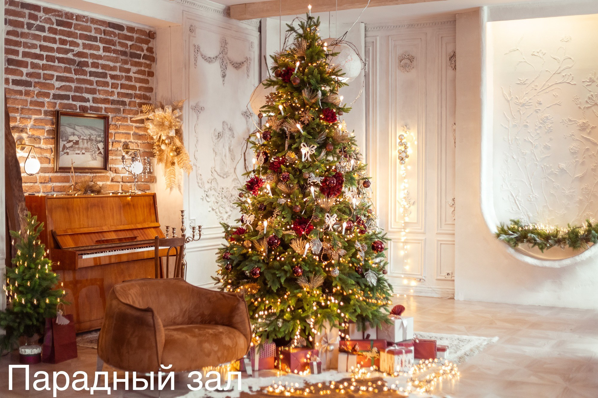 Фотостудии. Евгений Щетников Фотограф-Тюмень