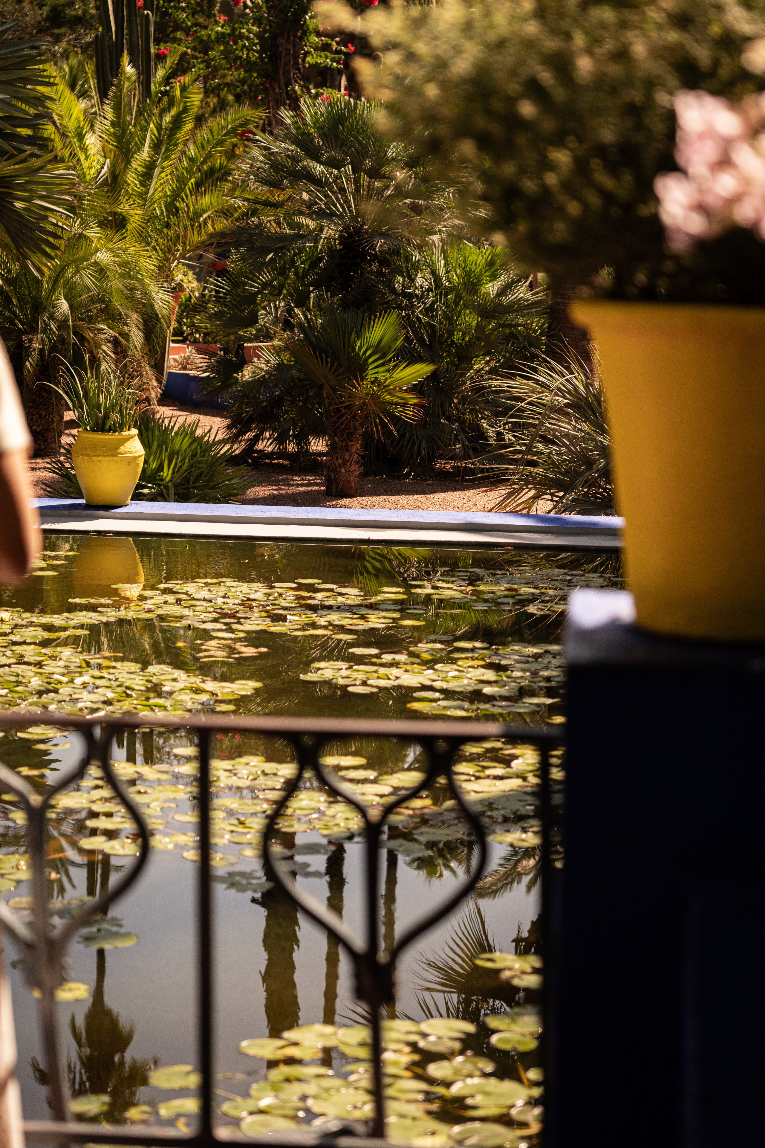 Марокко. Илья Варин — Фотограф Москва, Тверь