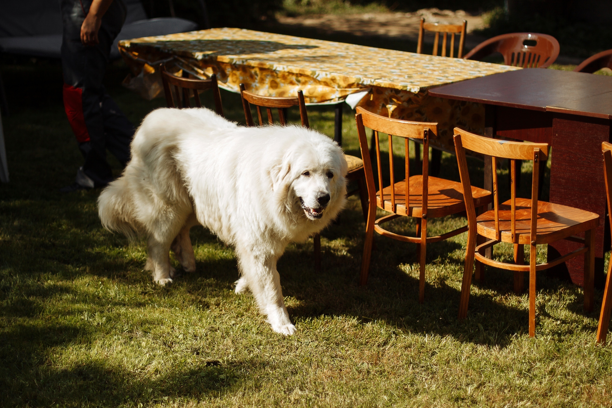 Оксана и Денис. Свадебный фотограф в Санкт-Петербурге