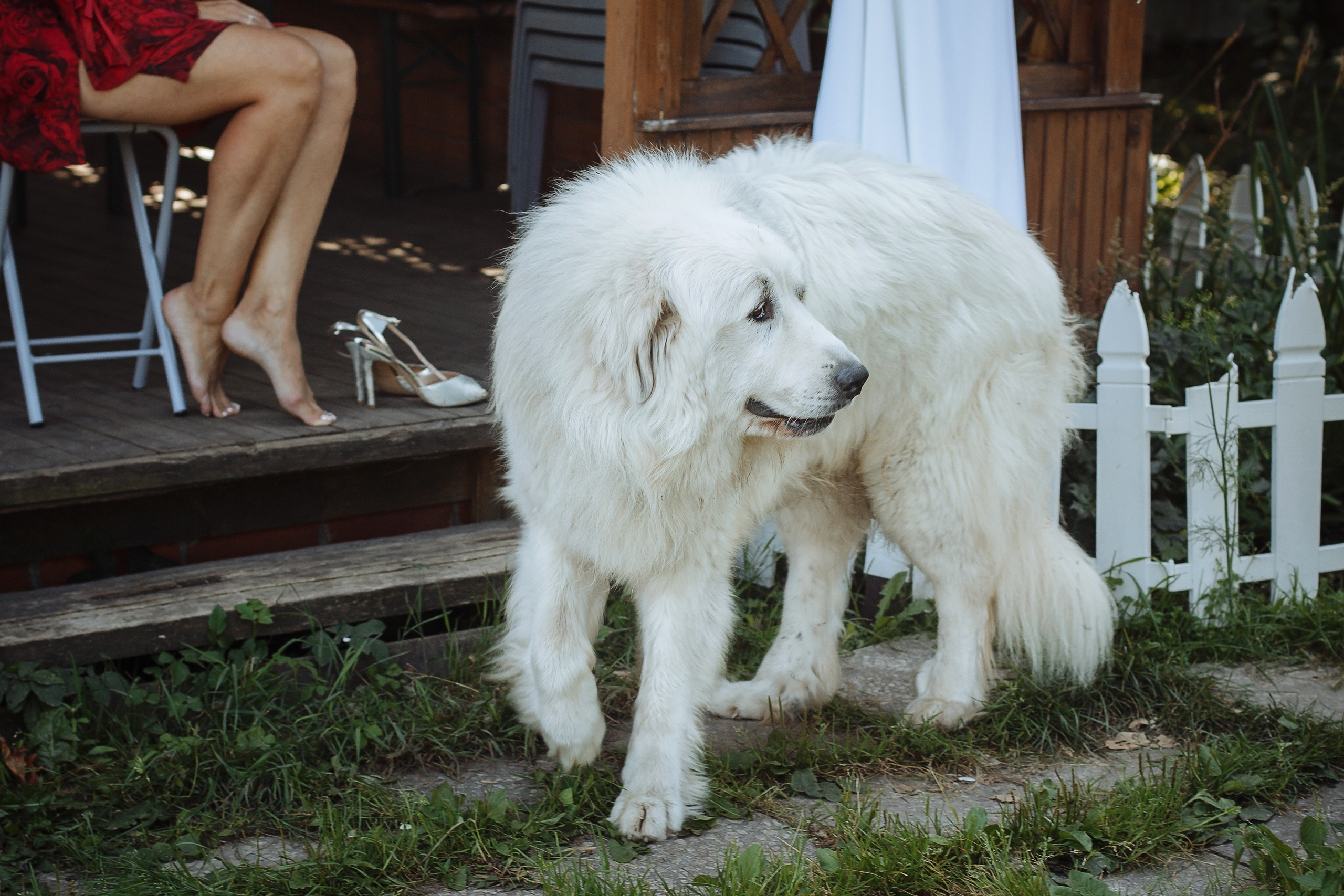 Оксана и Денис. Свадебный фотограф в Санкт-Петербурге
