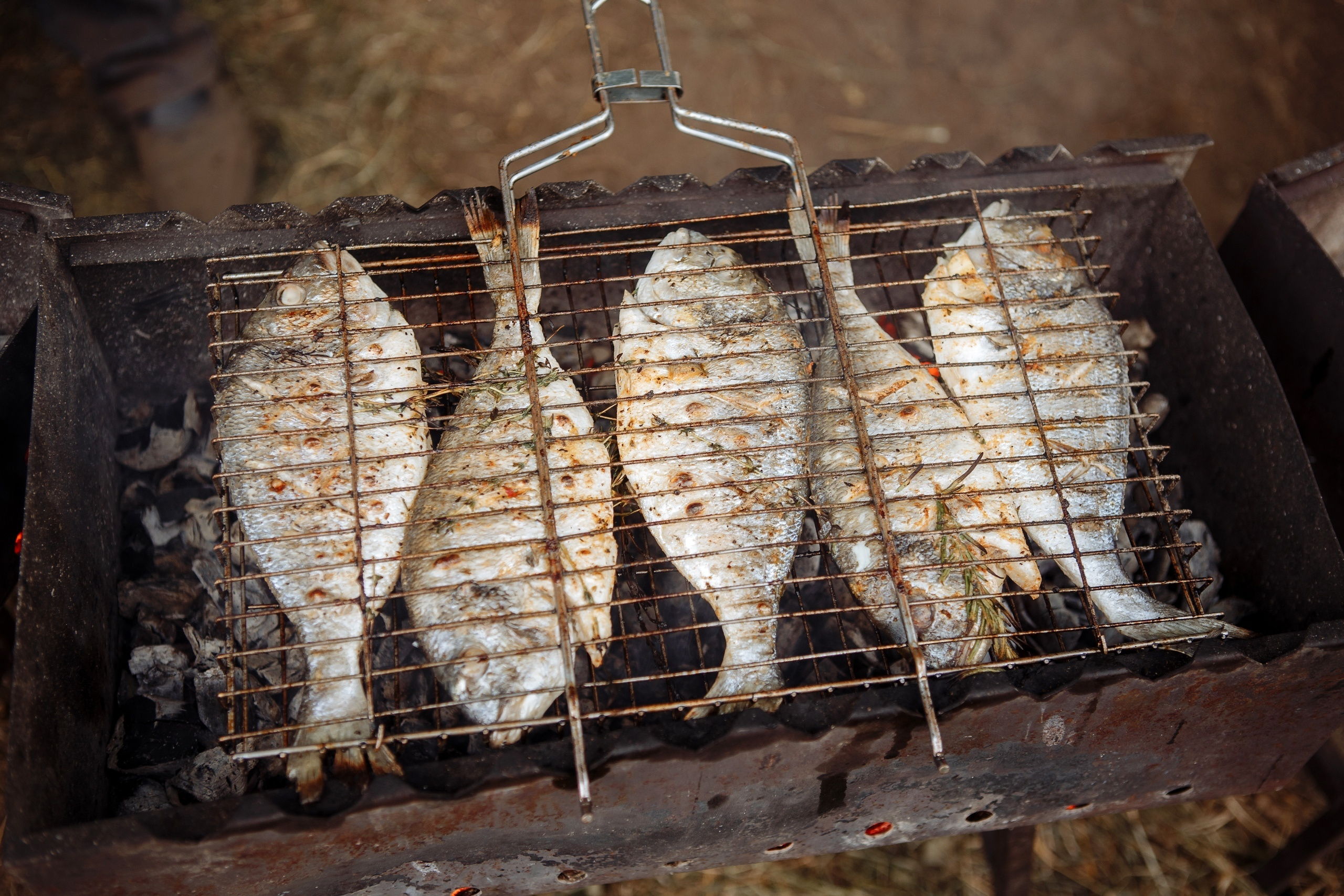 Оксана и Денис. Свадебный фотограф в Санкт-Петербурге