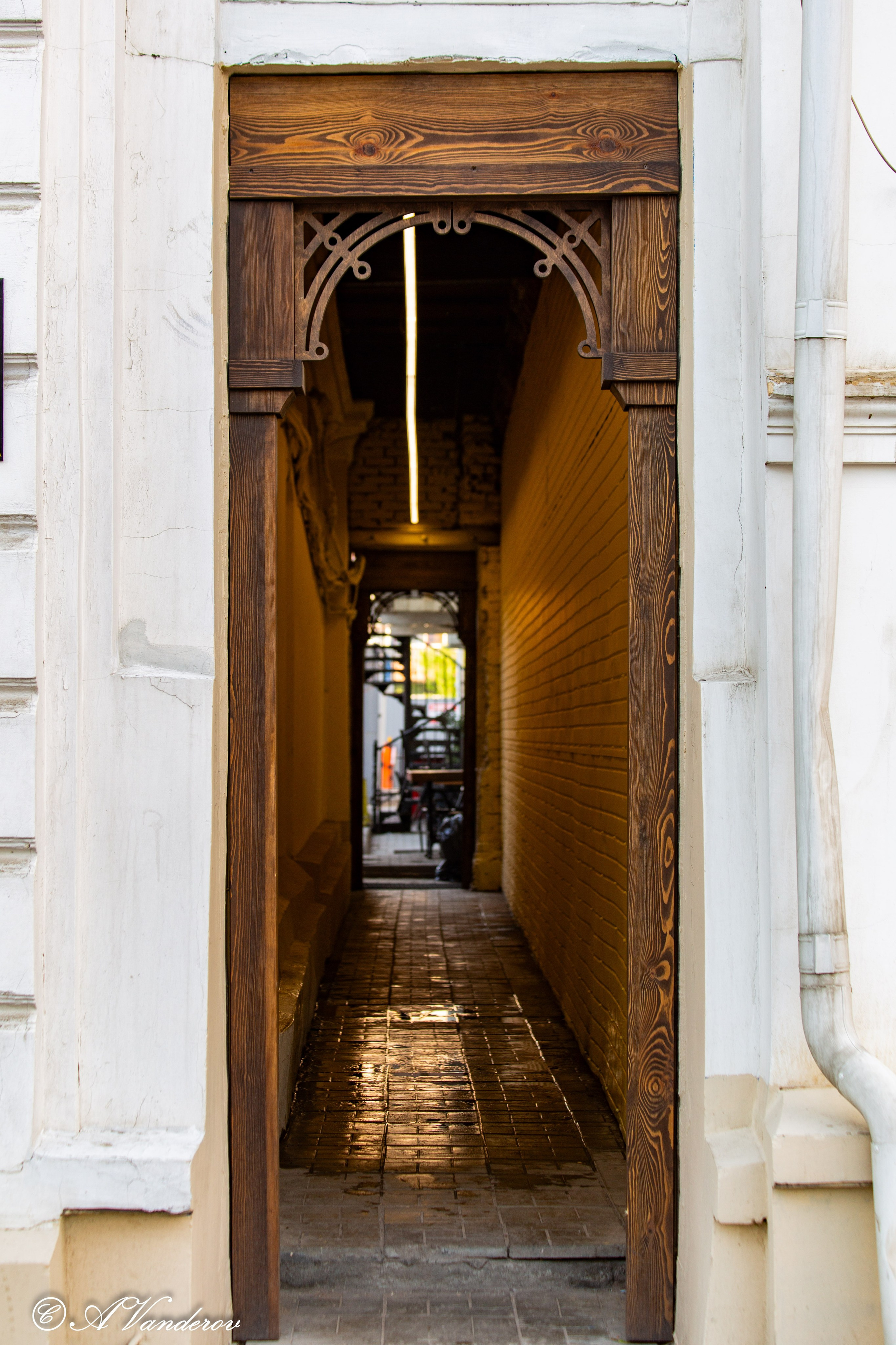 Прогулка 22.05.2024. Фотограф Омск | Александр Вандеров