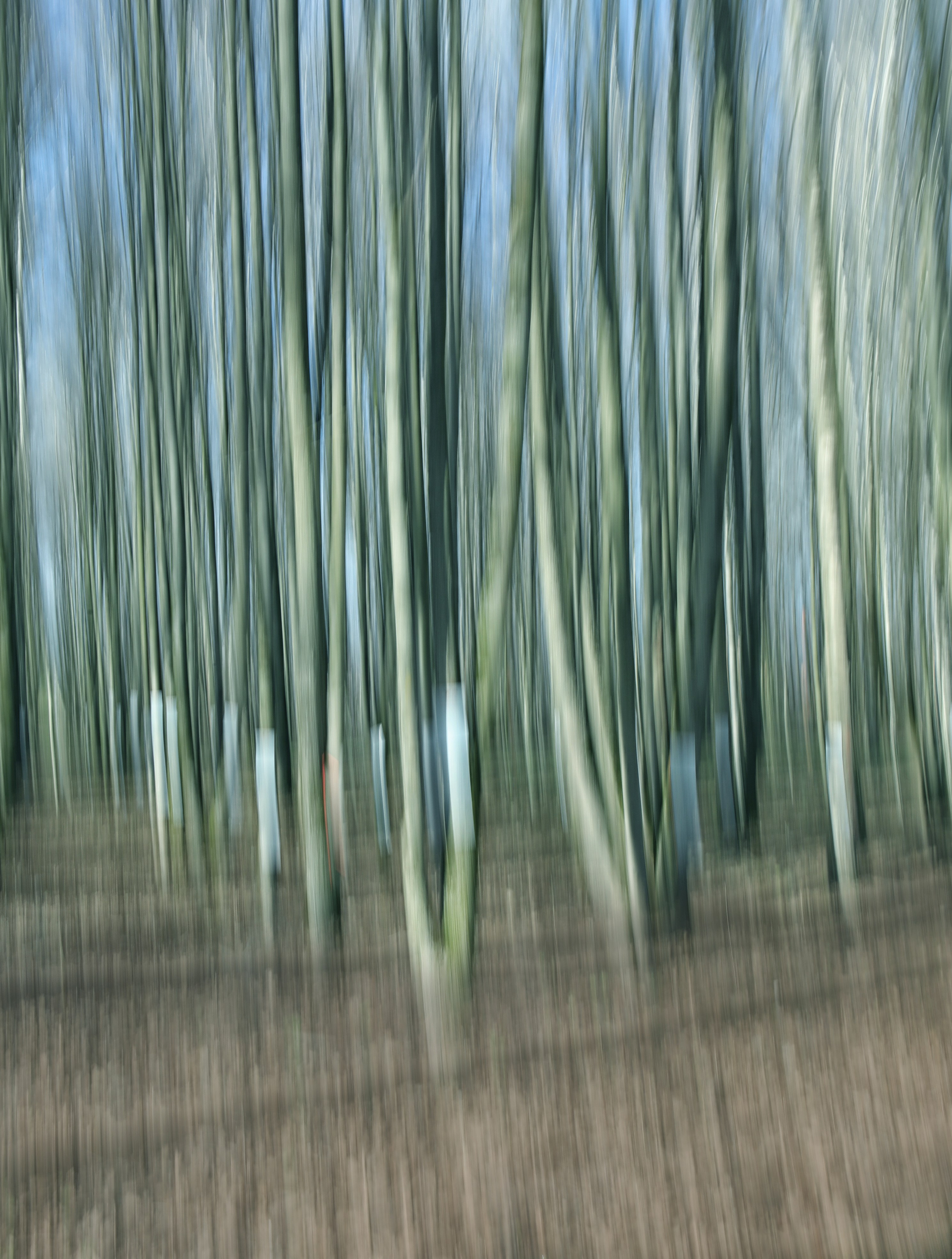 Проект «Здесь и сейчас». Фотограф Наталья Туева FineArt съёмка