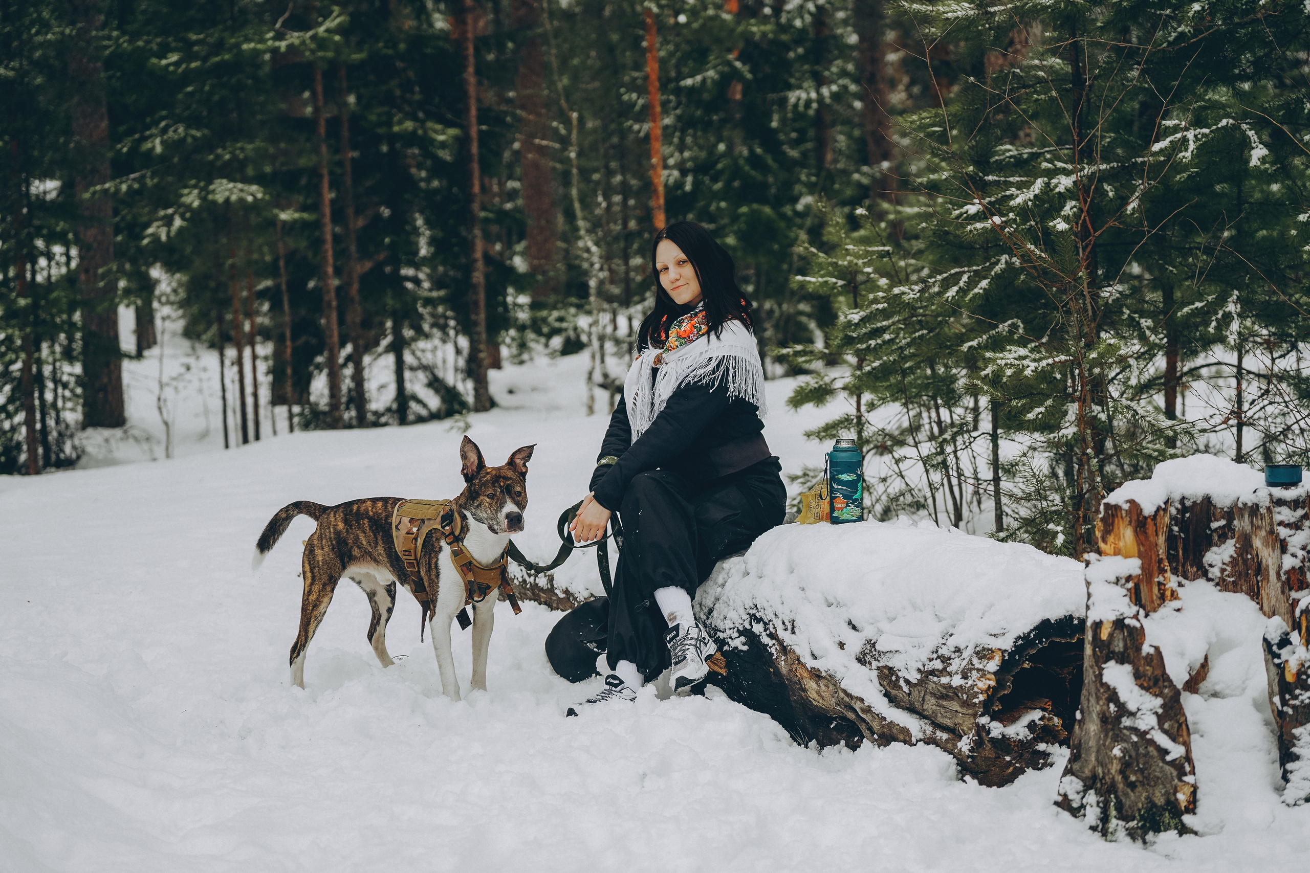 Гарм и Юна. Фотограф анималист в Спб недорого Олеся Майорова