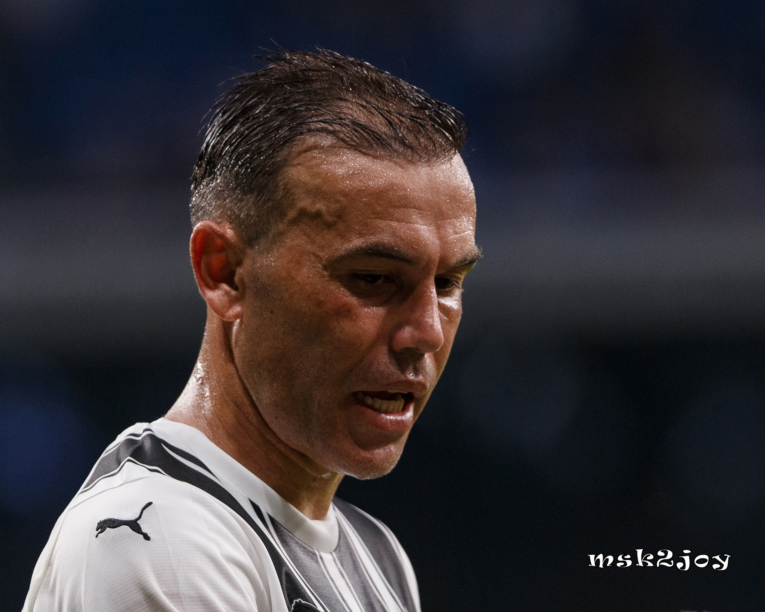 Фоторепортаж. ФК Динамо — ФК Партизан. Михаил Тоцкий портретный и репортажный фотограф в Москве