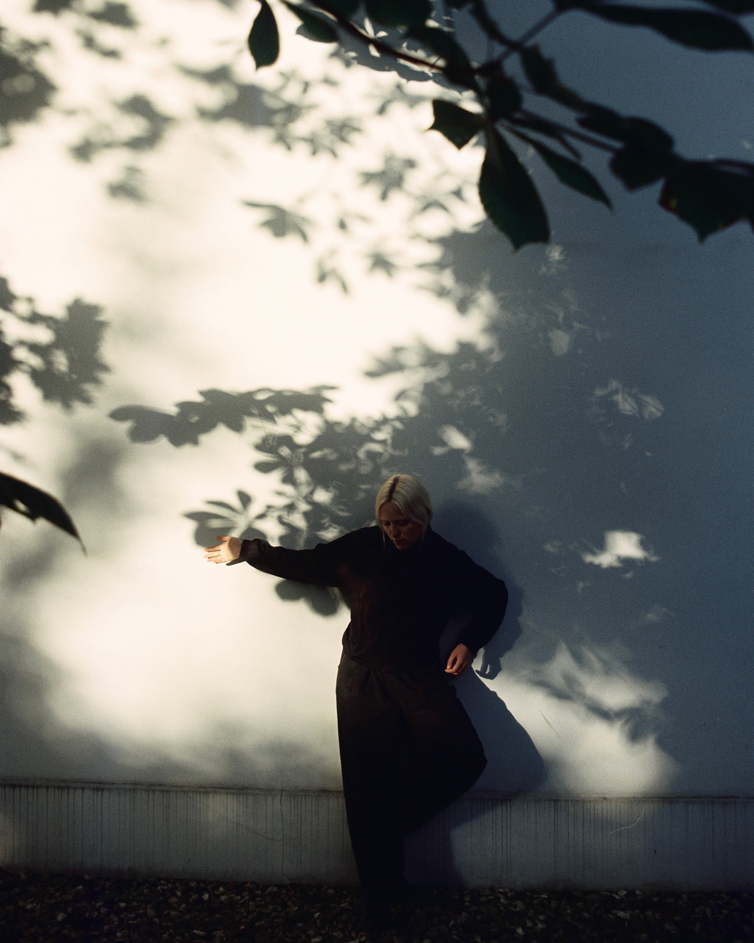 Док портрет