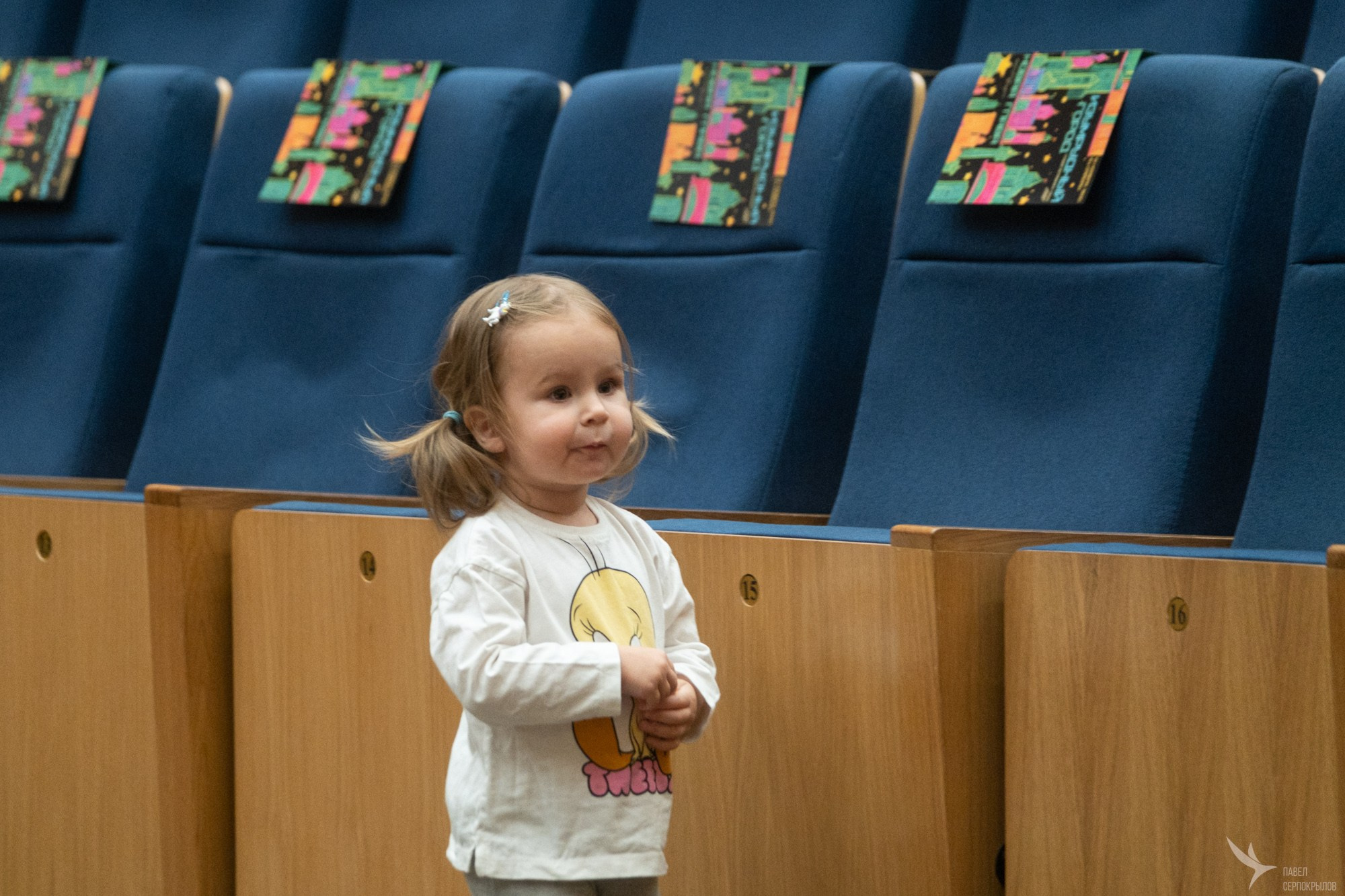 Юбилейный концерт студии эстрадного танца «Изумрудный город». Репортажный фотограф в Казани Павел Серпокрылов